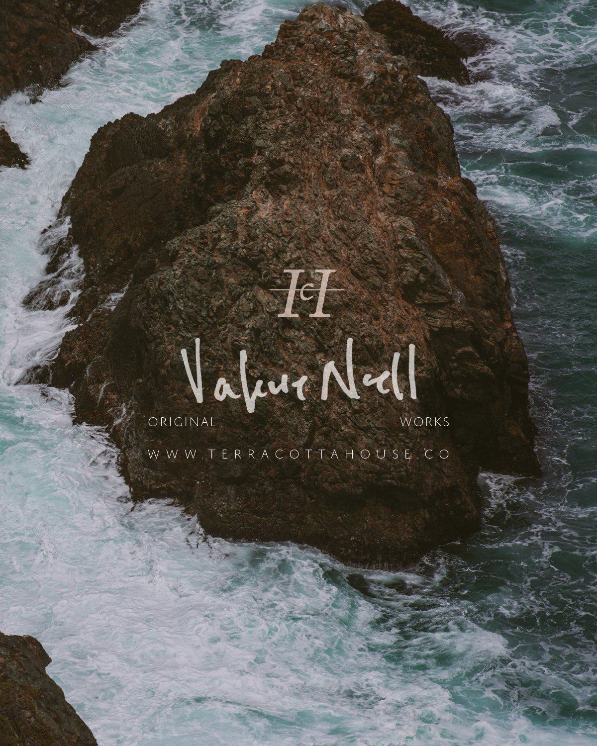 TCH INSTA POSTS - TIDEPOOLS10.jpg