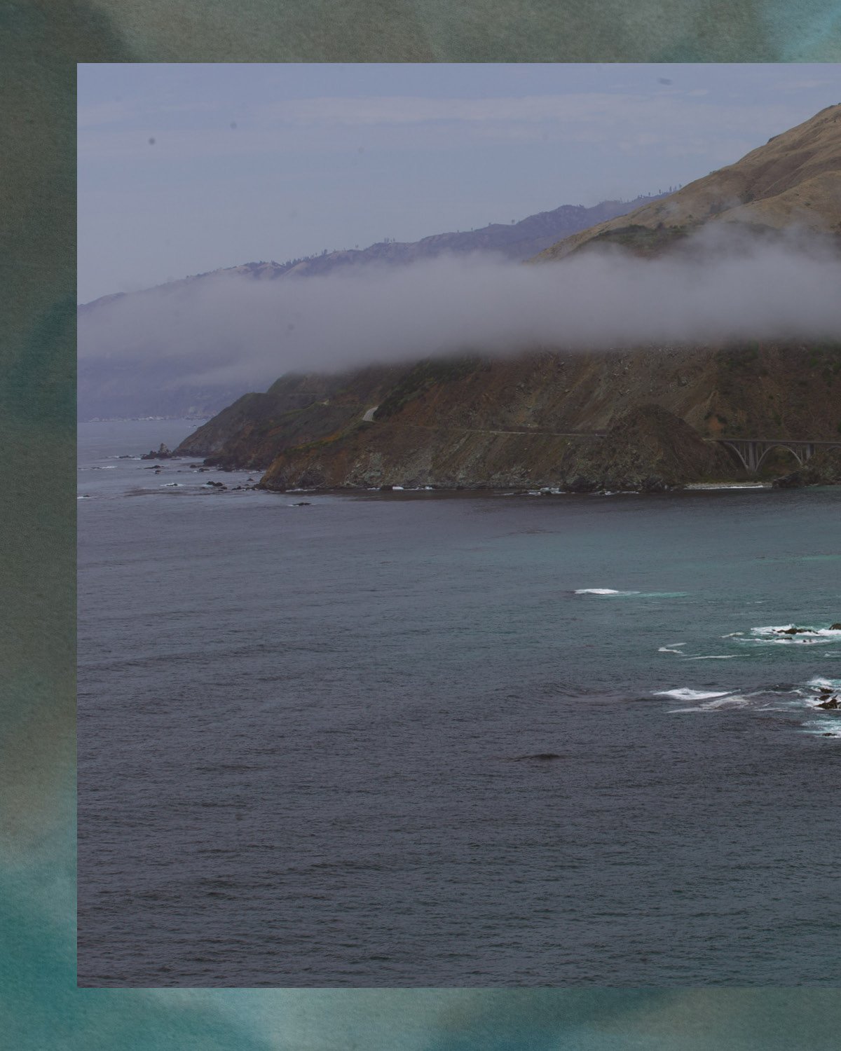 TCH INSTA POSTS - TIDEPOOLS3.jpg