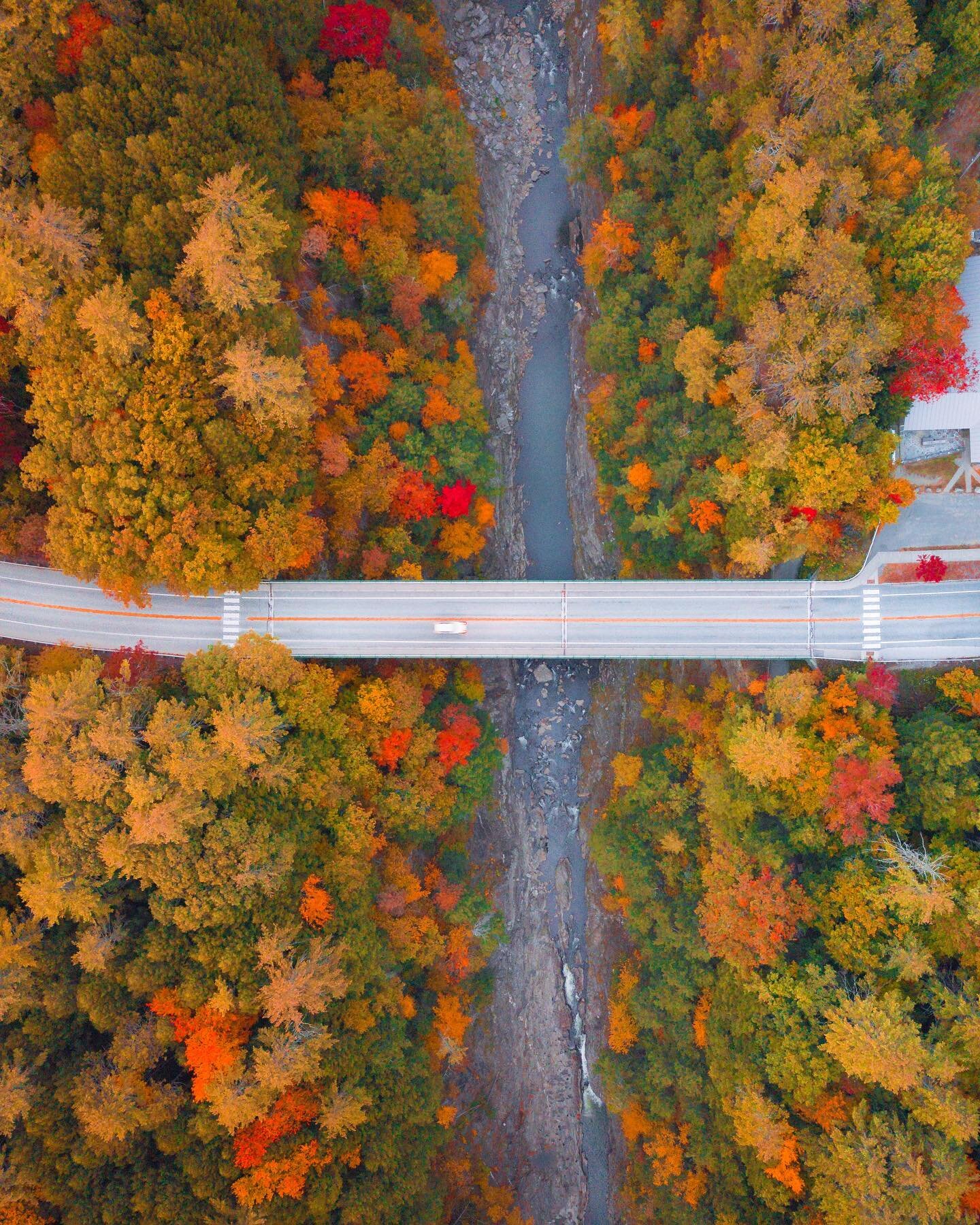 Fall colors at Queeche Gorge, Vermont 🍁

After a long day of shooting foliage in Northern Vermont, I was making my way down to Woodstock to spend the night! Before making it into town a made a quick stop at Queeche Gorge. Sending my drone up as fast