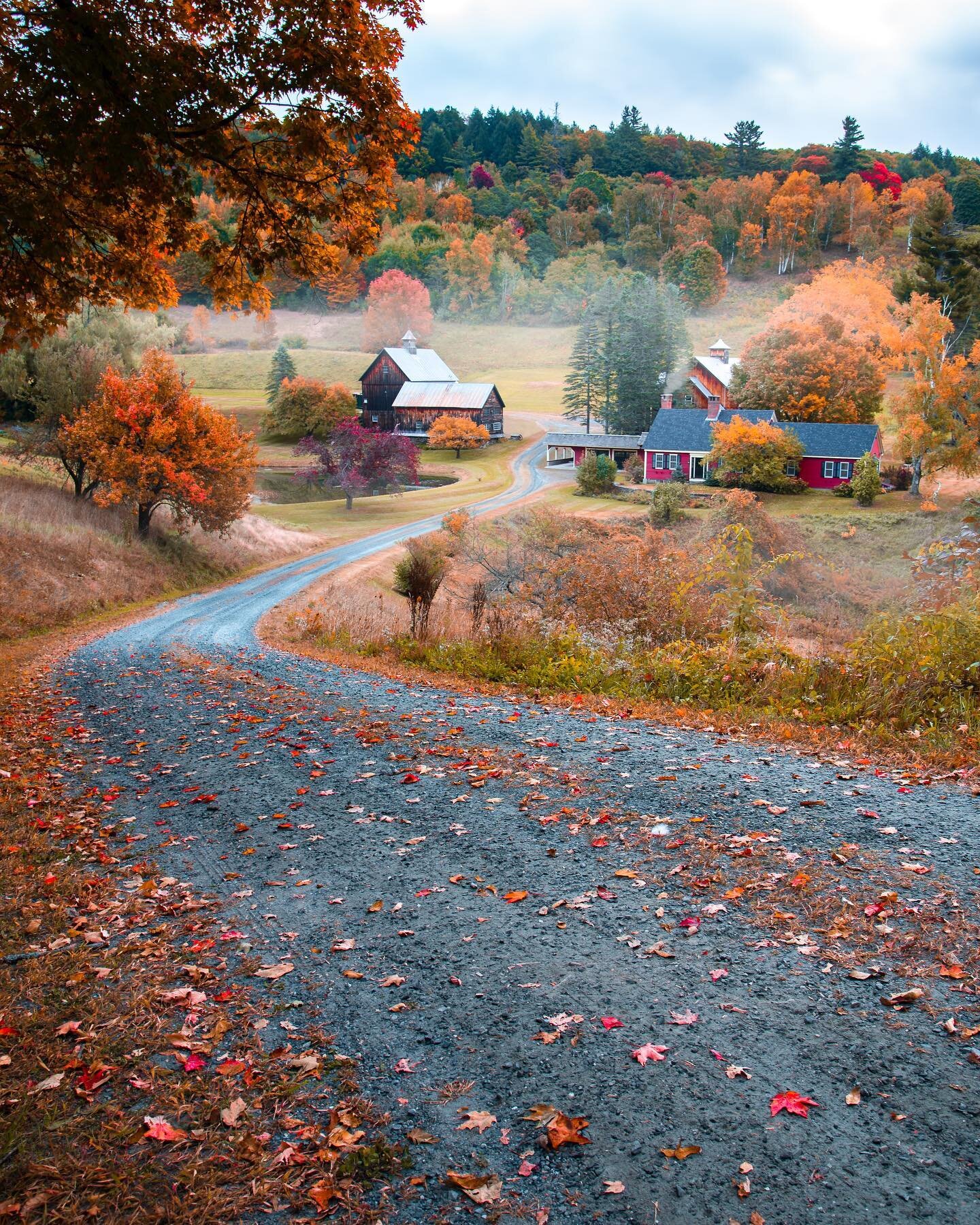 Sleepy Hollow Farm 🍁

You haven&rsquo;t truly experienced fall in New England without making a stop at this Vermont classic. This super popular farm is beautiful during the fall and it is perfect place to photograph! Let me know if you have ever got