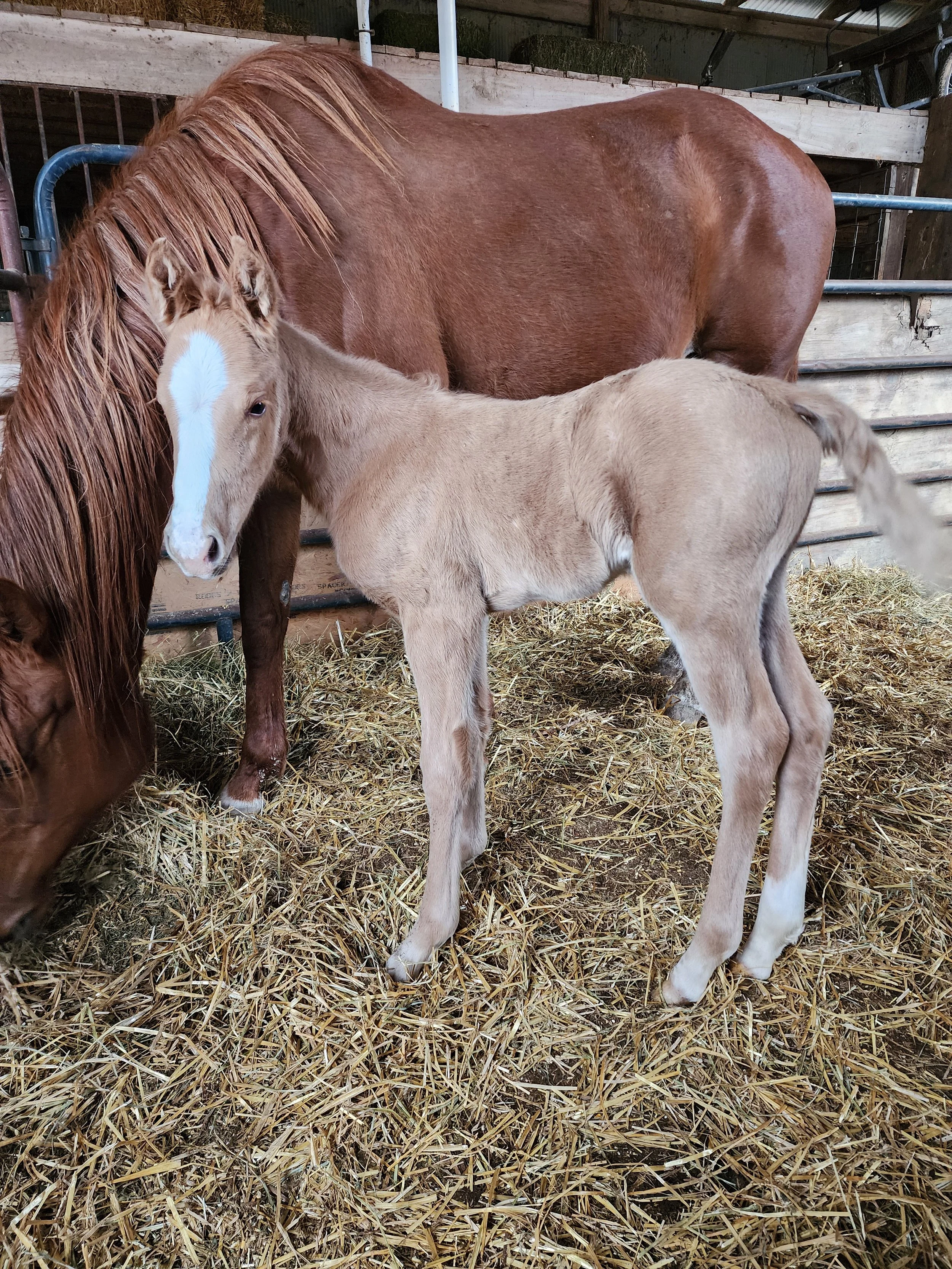 20260326_174306 (1).jpg