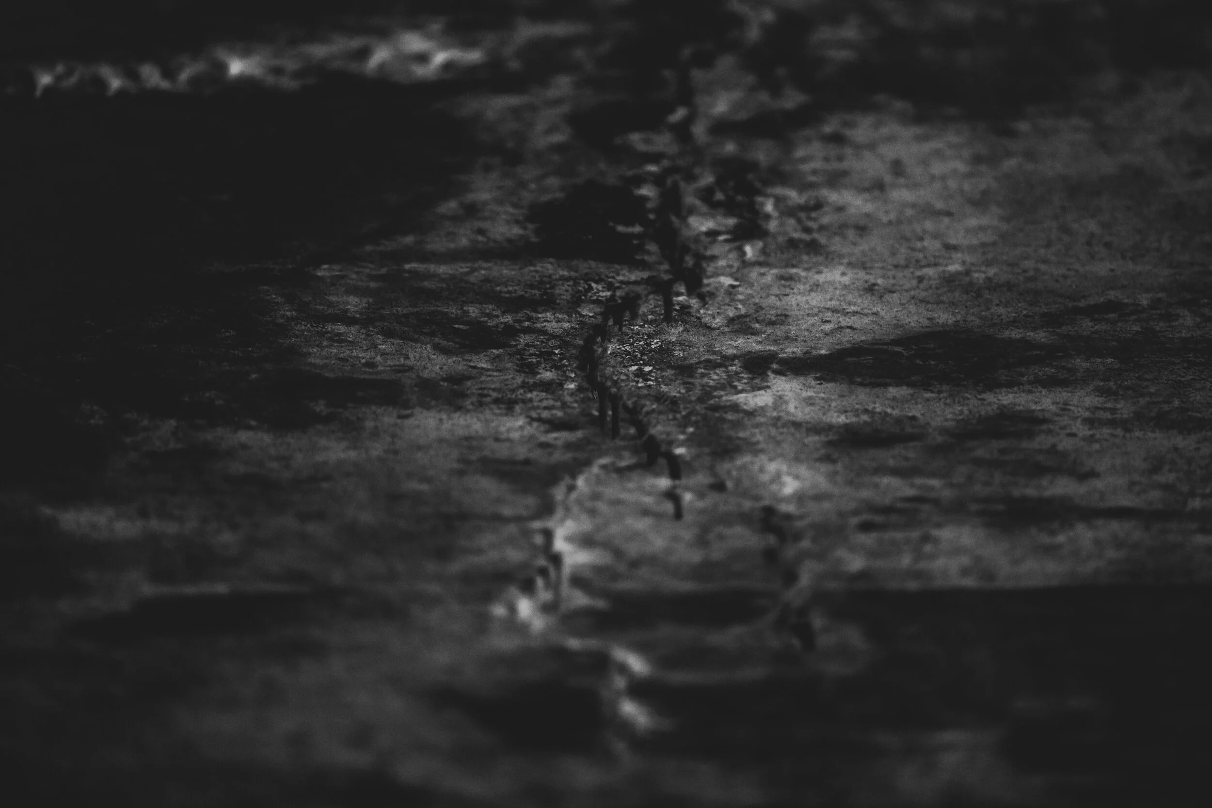 1 abstract bw manchester 18 oct 2020 with carlos.jpg