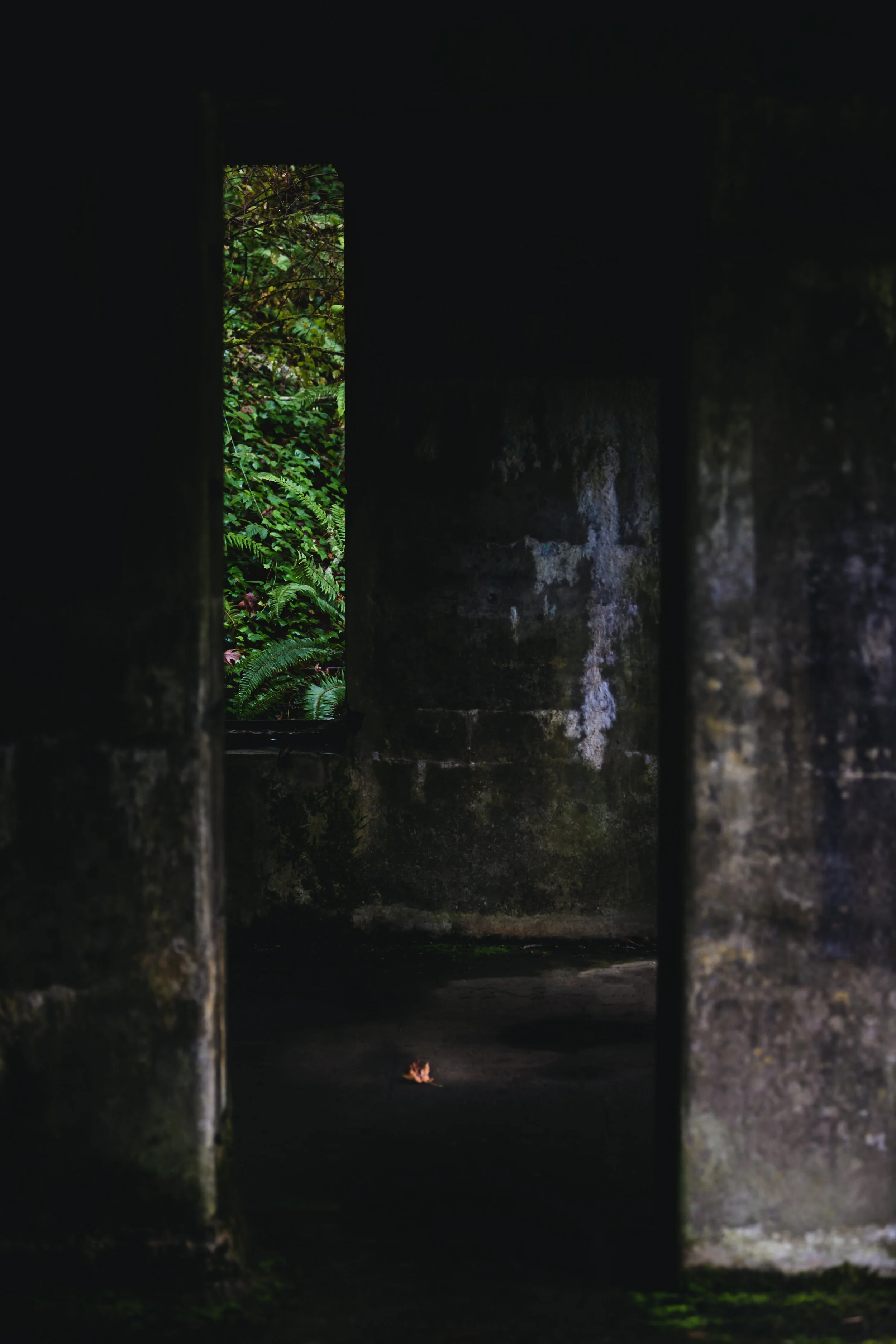 1 manchester 18 oct 2020 with carlos.jpg