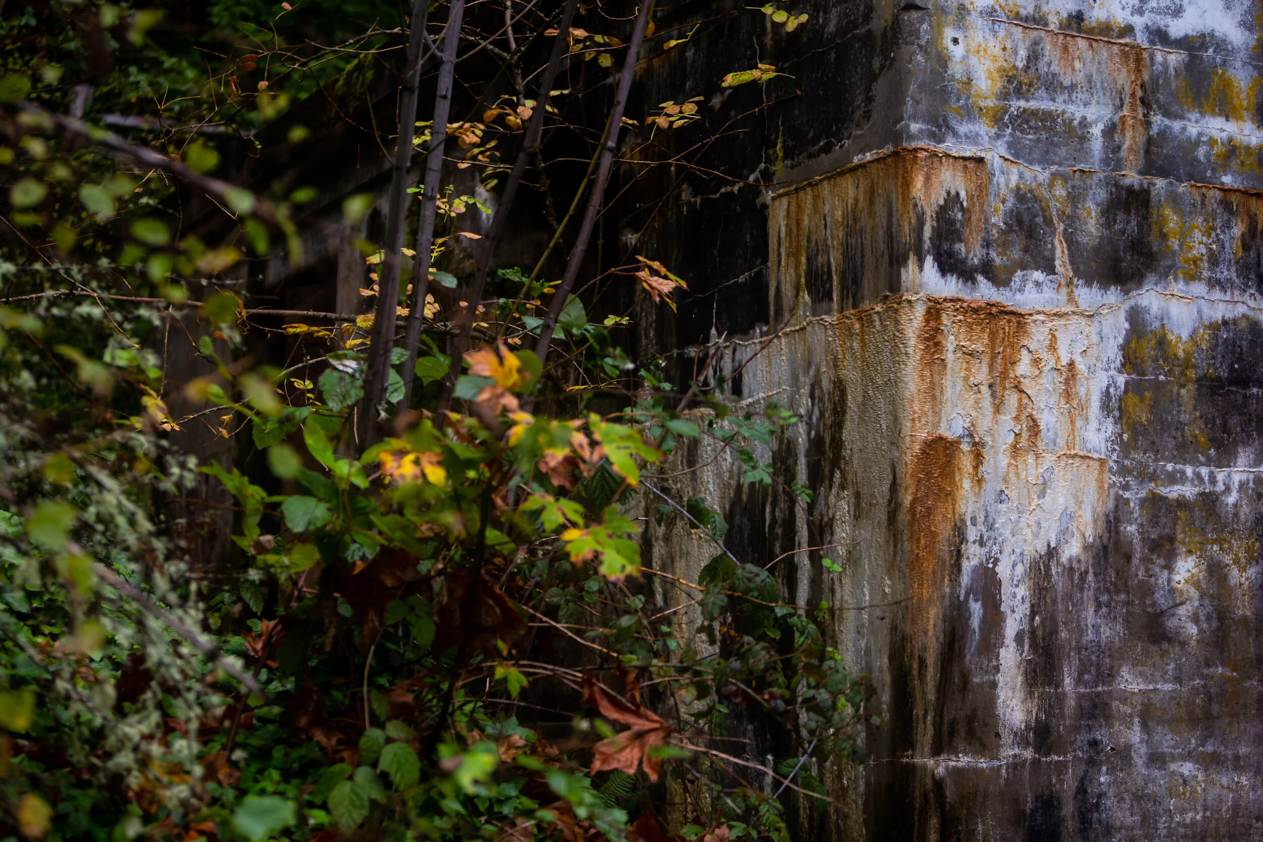 2 manchester 18 oct 2020 with carlos.jpg