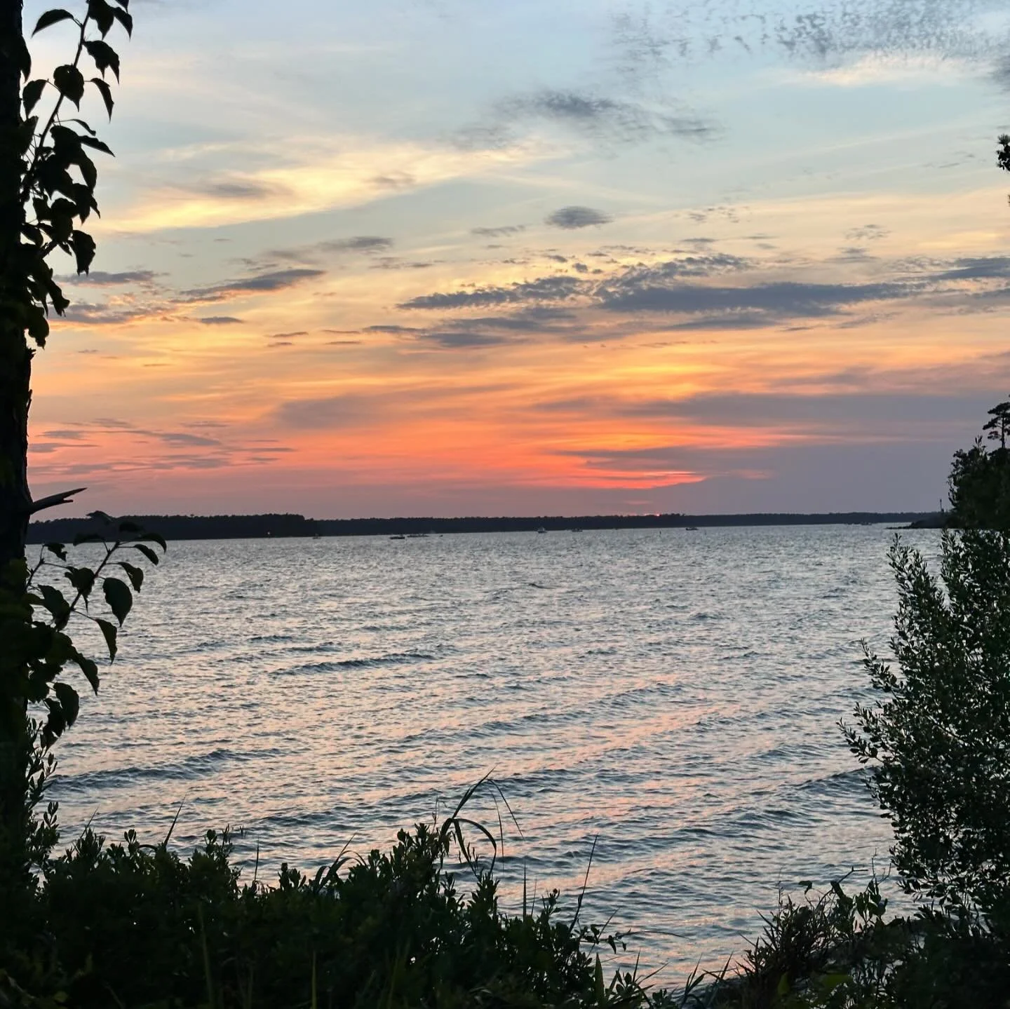 Life lately &bull; July &lsquo;24