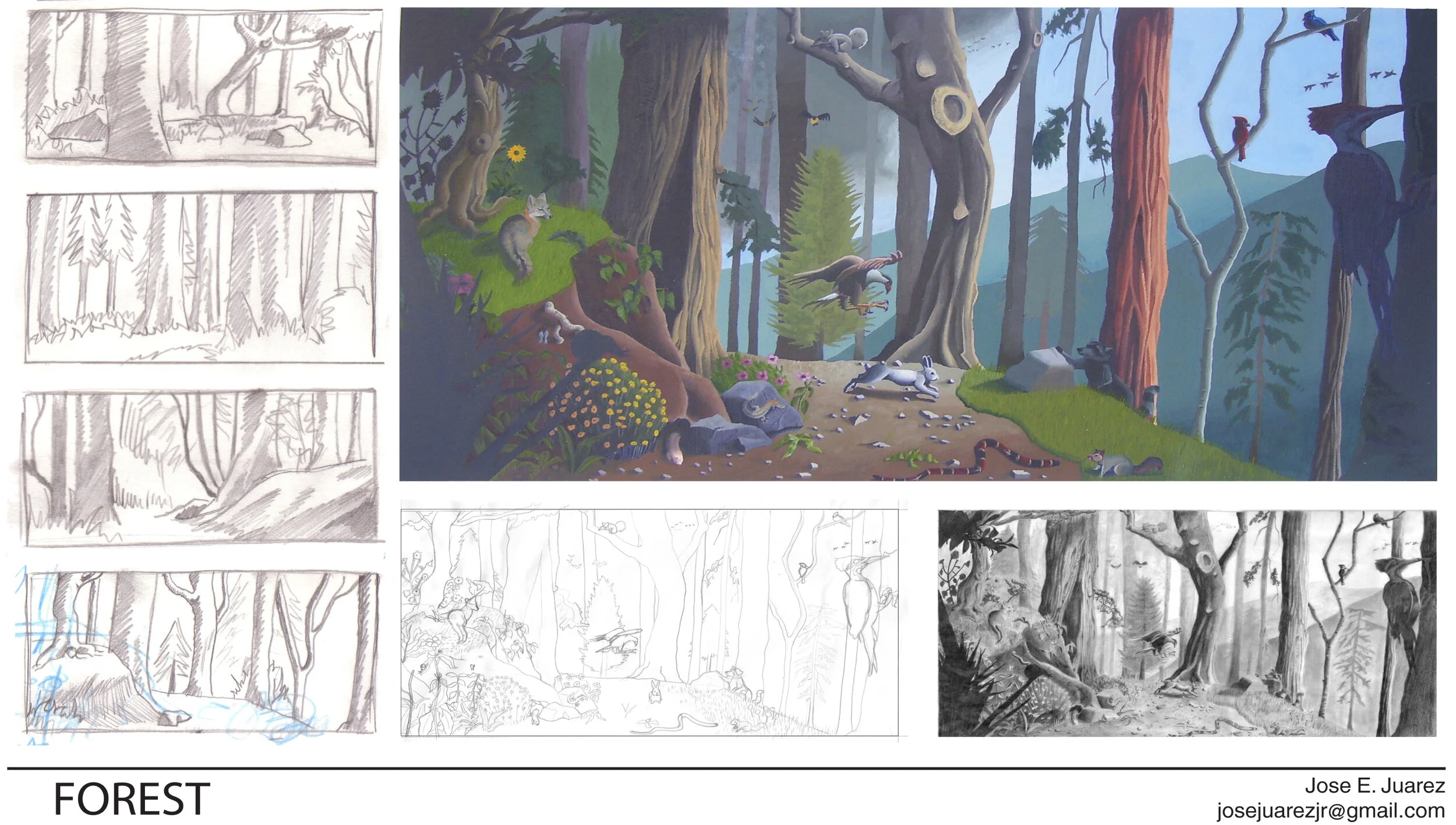 01_Forest.jpg