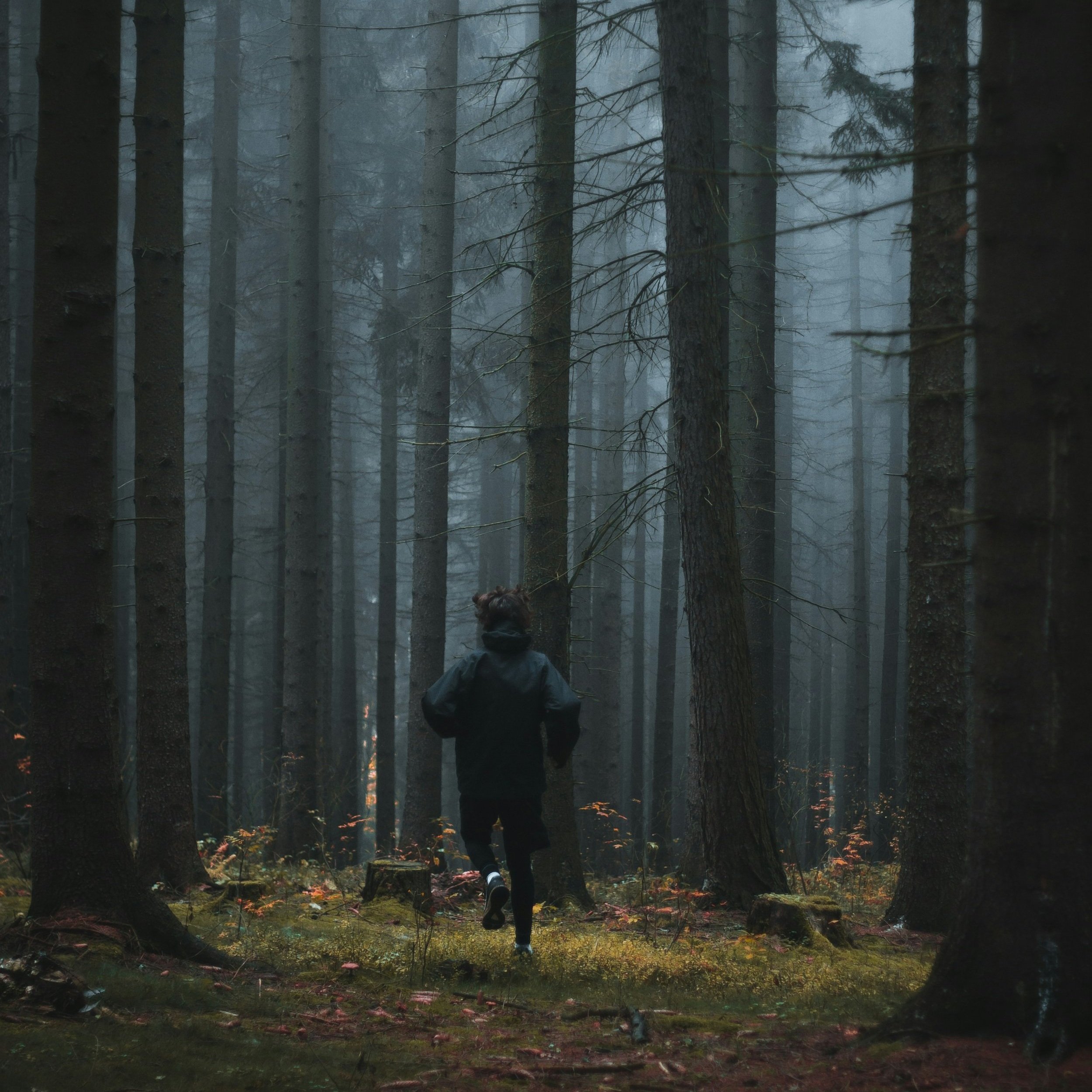 Fight, Flight, Freeze… Fawn? Understanding Survival Responses with a Somatic Therapist