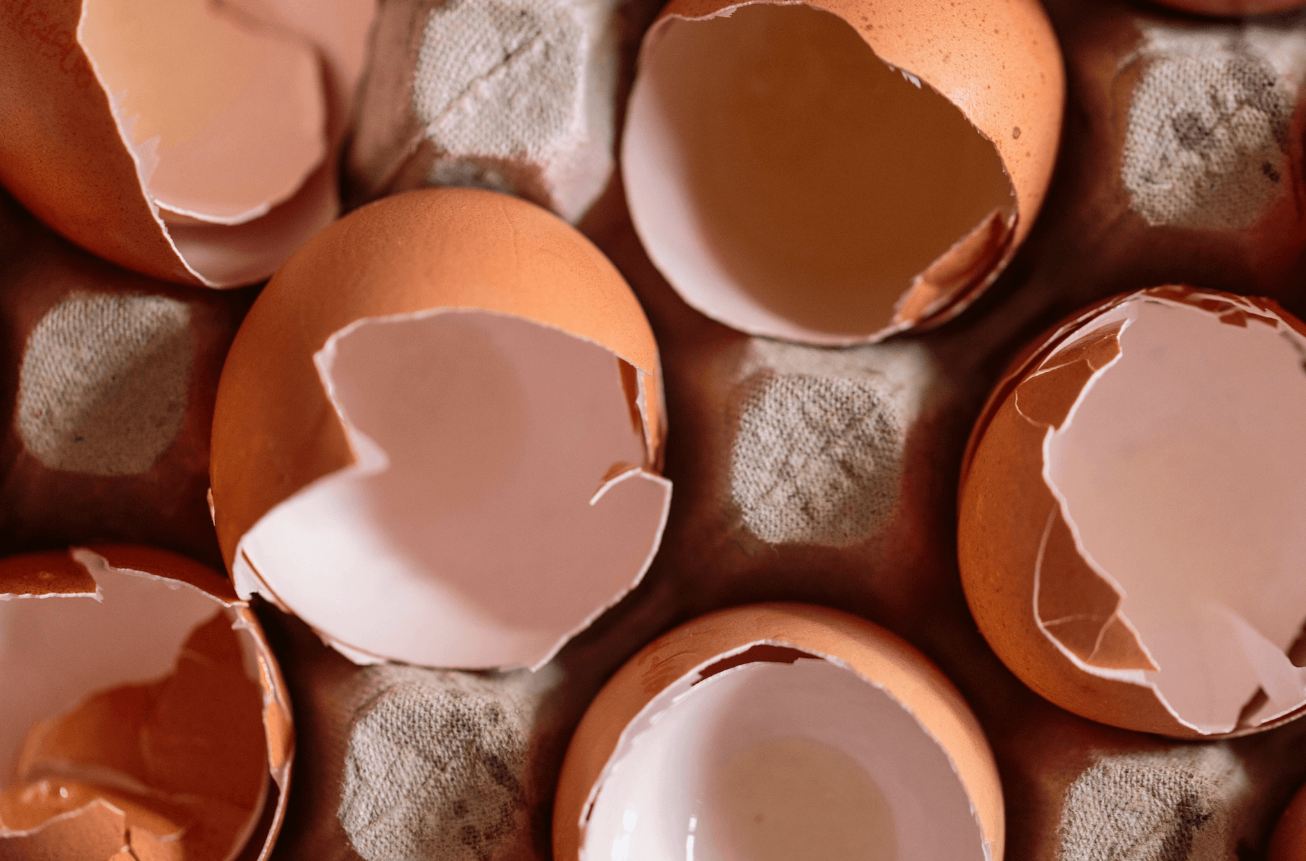 The Trauma No One Sees