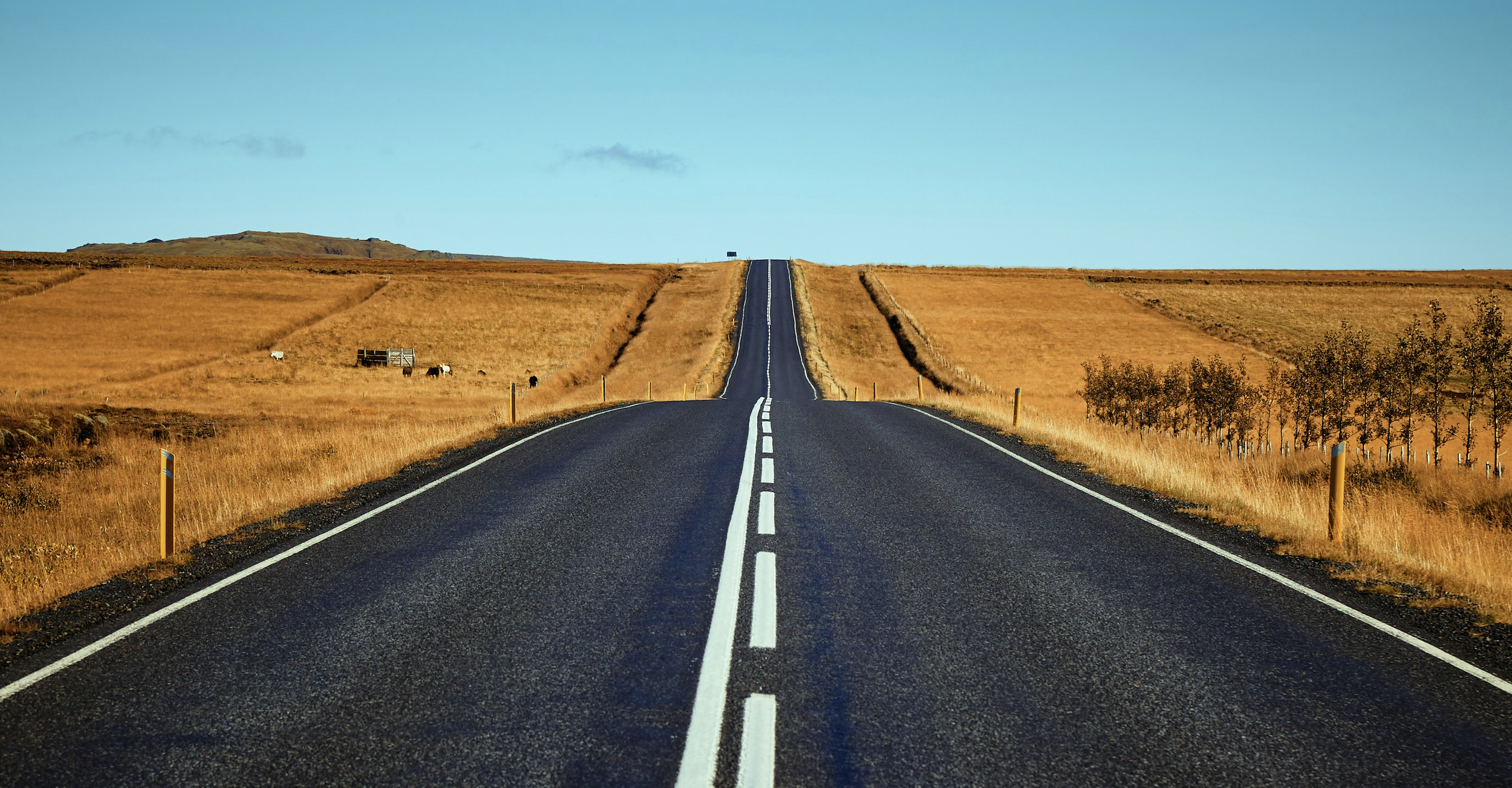 When a Loss Brings Relief: Understanding Death and Complex Grief