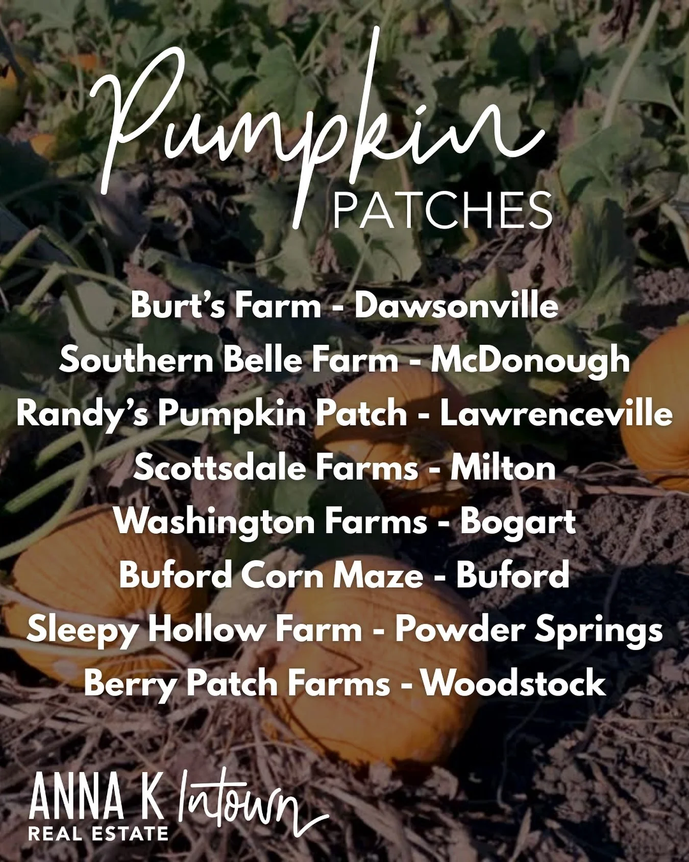 🎃🍂 Nothing says fall in Georgia like a day at the pumpkin patch! Whether you&rsquo;re searching for the perfect pumpkin, wandering through a corn maze, or hopping on a hayride, these local farms bring all the autumn magic:

✨ Burt&rsquo;s Farm &nda
