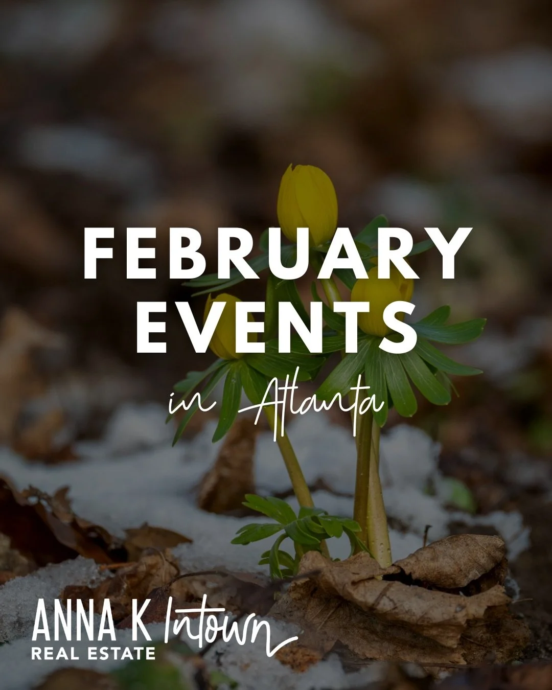 Spring may be right around the corner, but the fun is already in full bloom 🌸

February in Atlanta is packed with events worth getting out for. Consider this your sign to get out, explore, and enjoy the city we&rsquo;re lucky to call home.

2/7: Vir