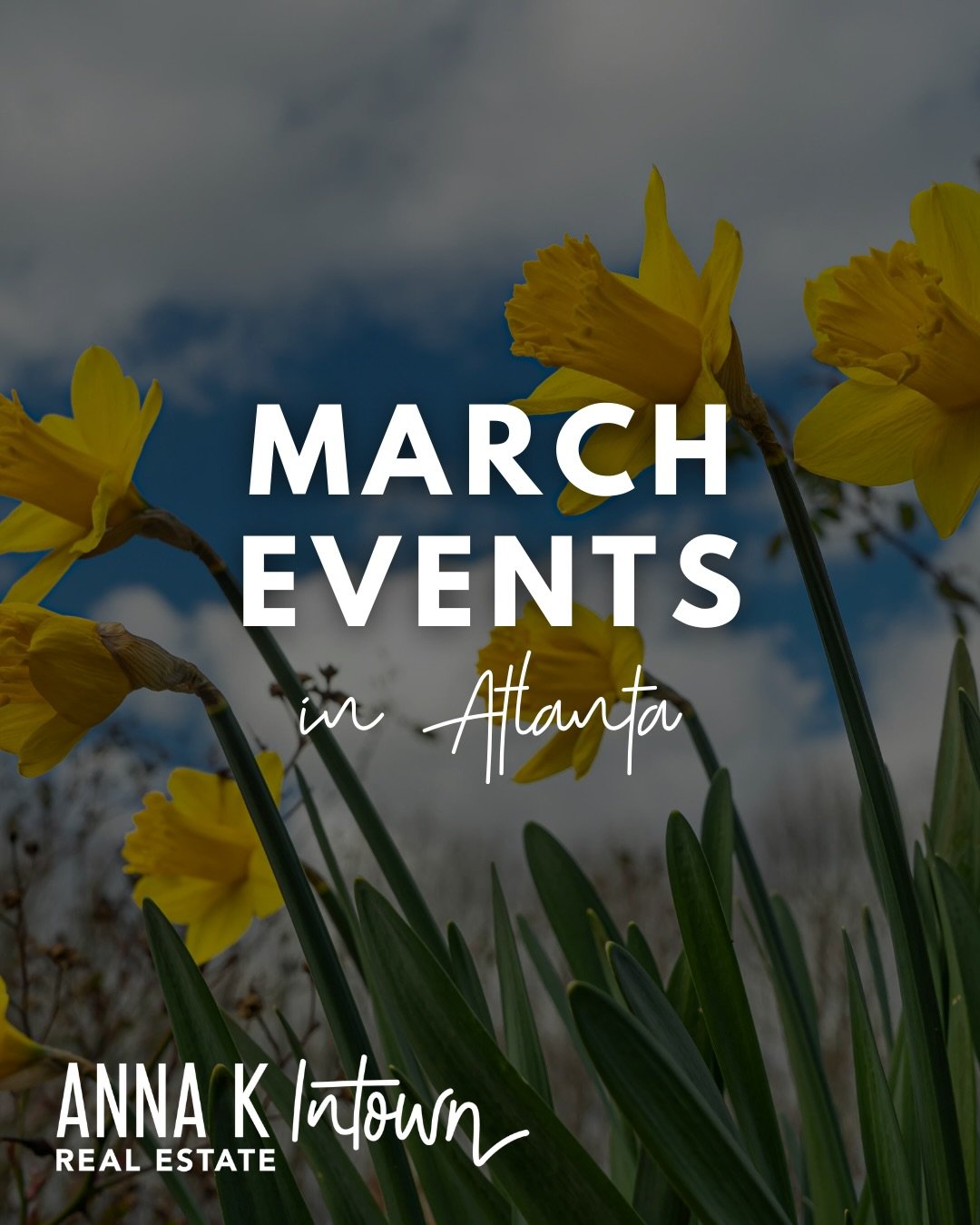 Spring has officially arrived and so has festival season ✨

March is filled with some of our favorite local events, festivals, art walks, and neighborhood celebrations. It&rsquo;s the perfect time to get outside, explore the city, and soak up everyth