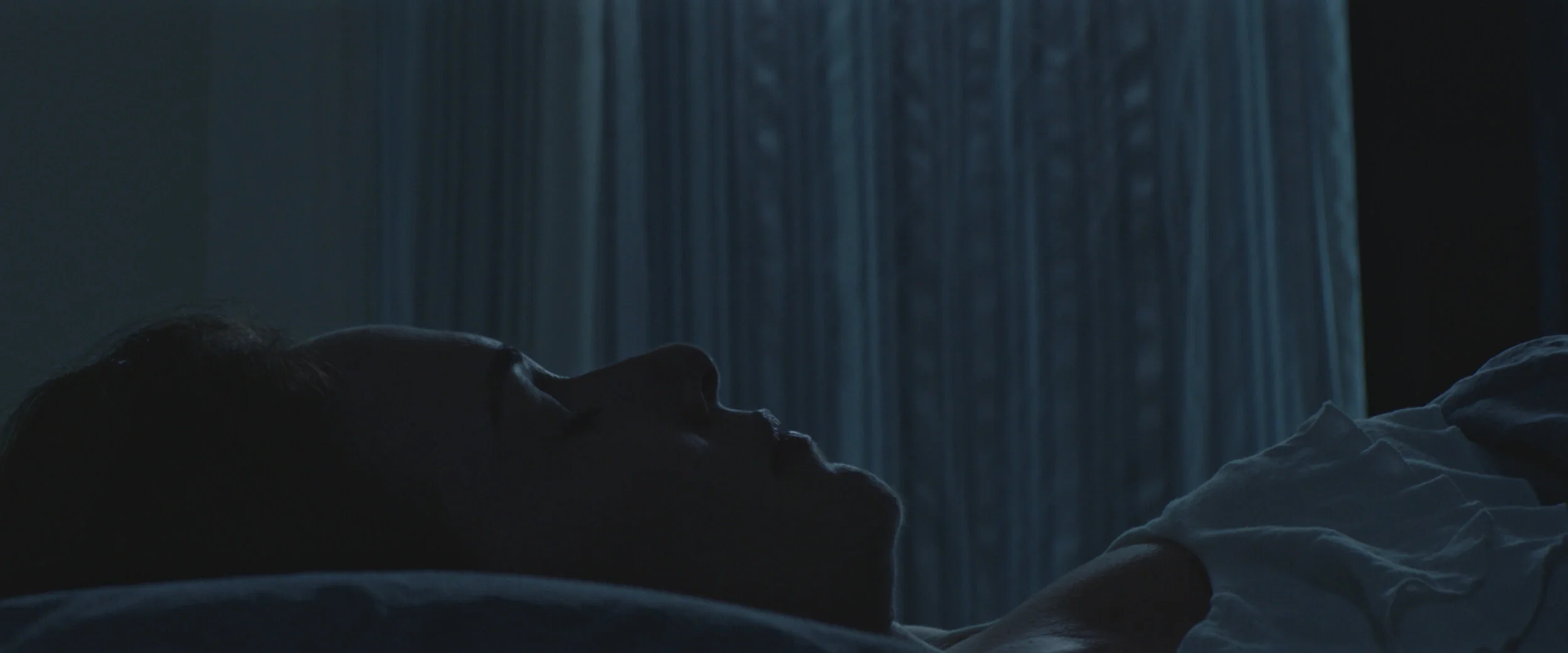 web still_ACATC_1.7.1_1.jpg