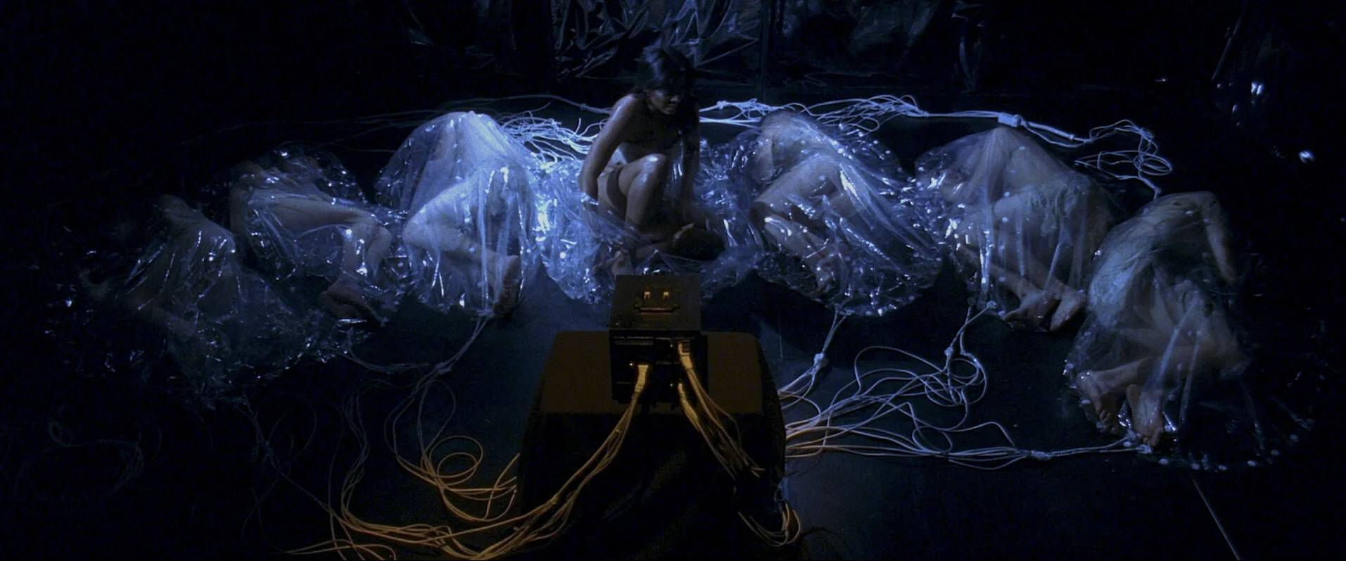 web still_pod_1.2.1_1.jpg