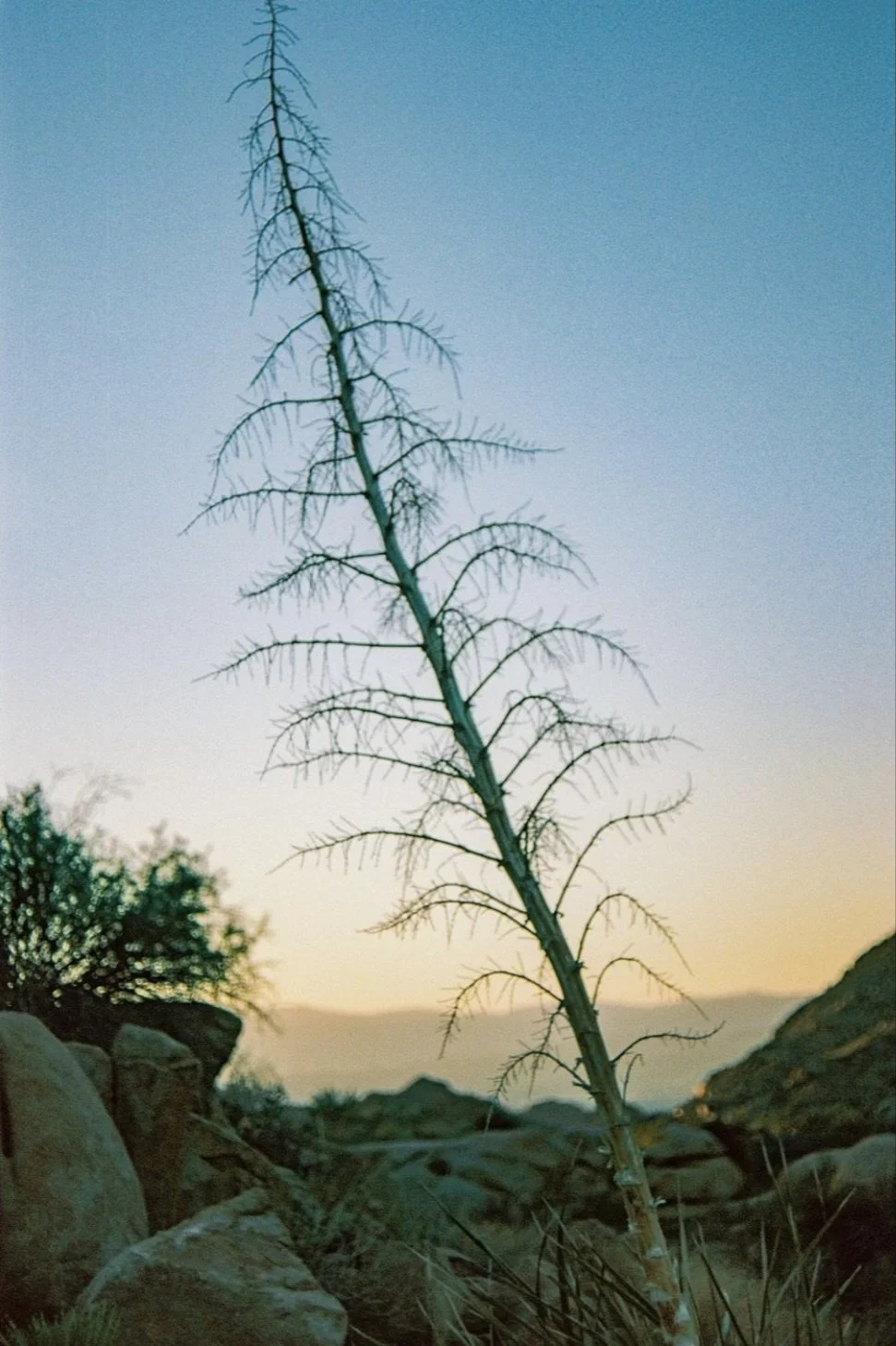 IMG_0060 27 Edited.JPG