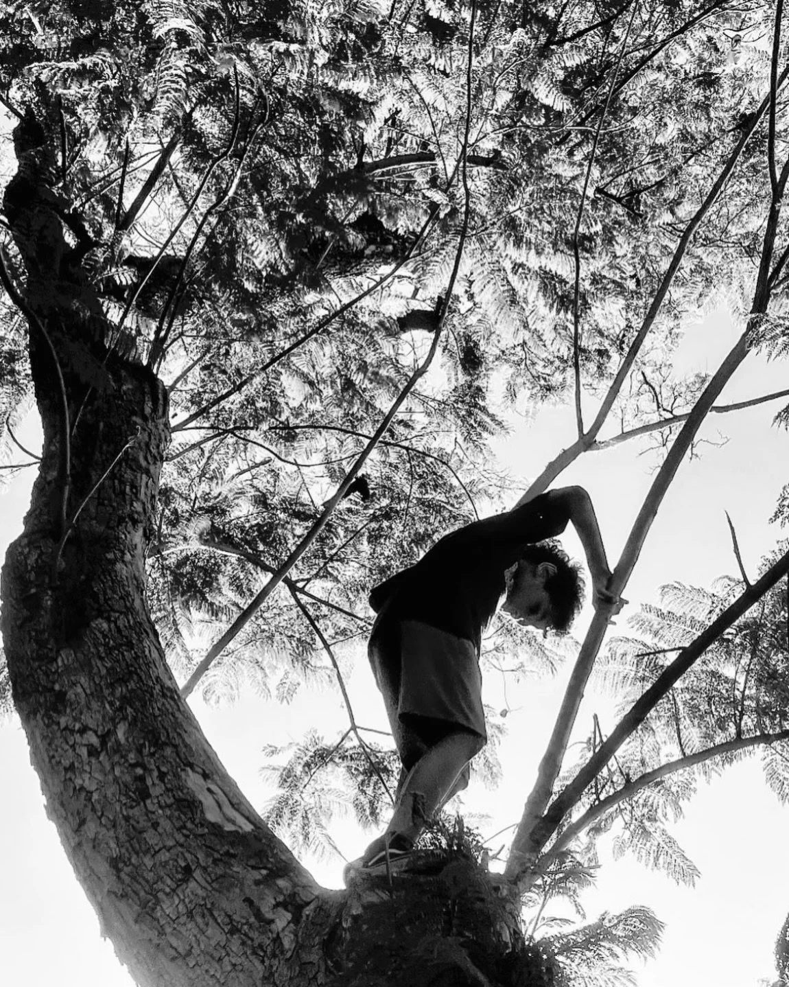 IMG_0056 23 Edited.JPG