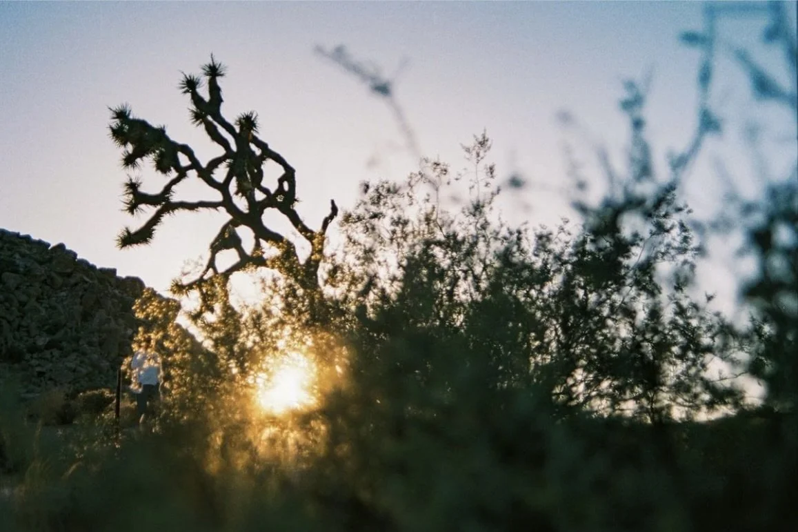 IMG_0061 28 Edited.JPG