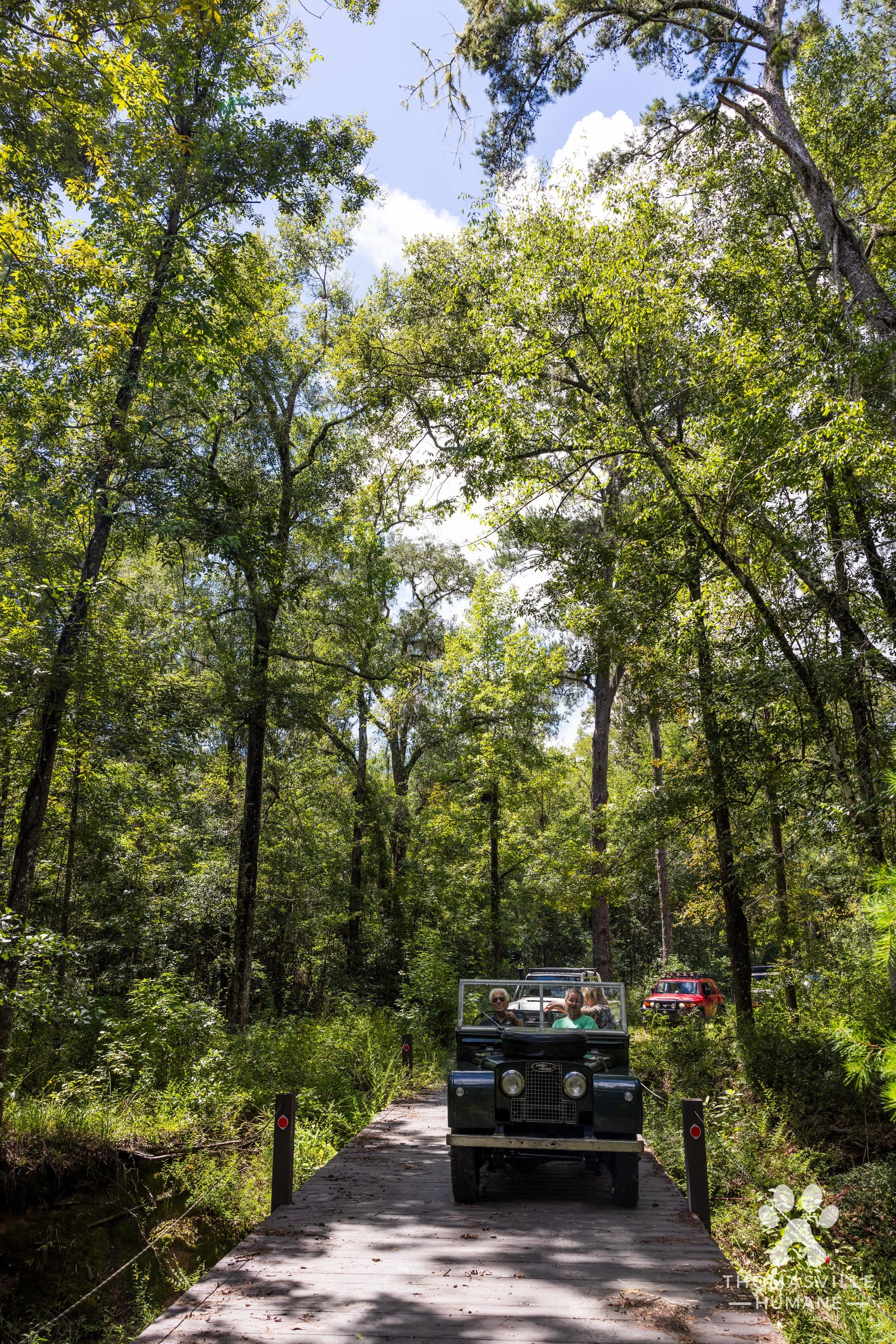AR9A0554.jpg