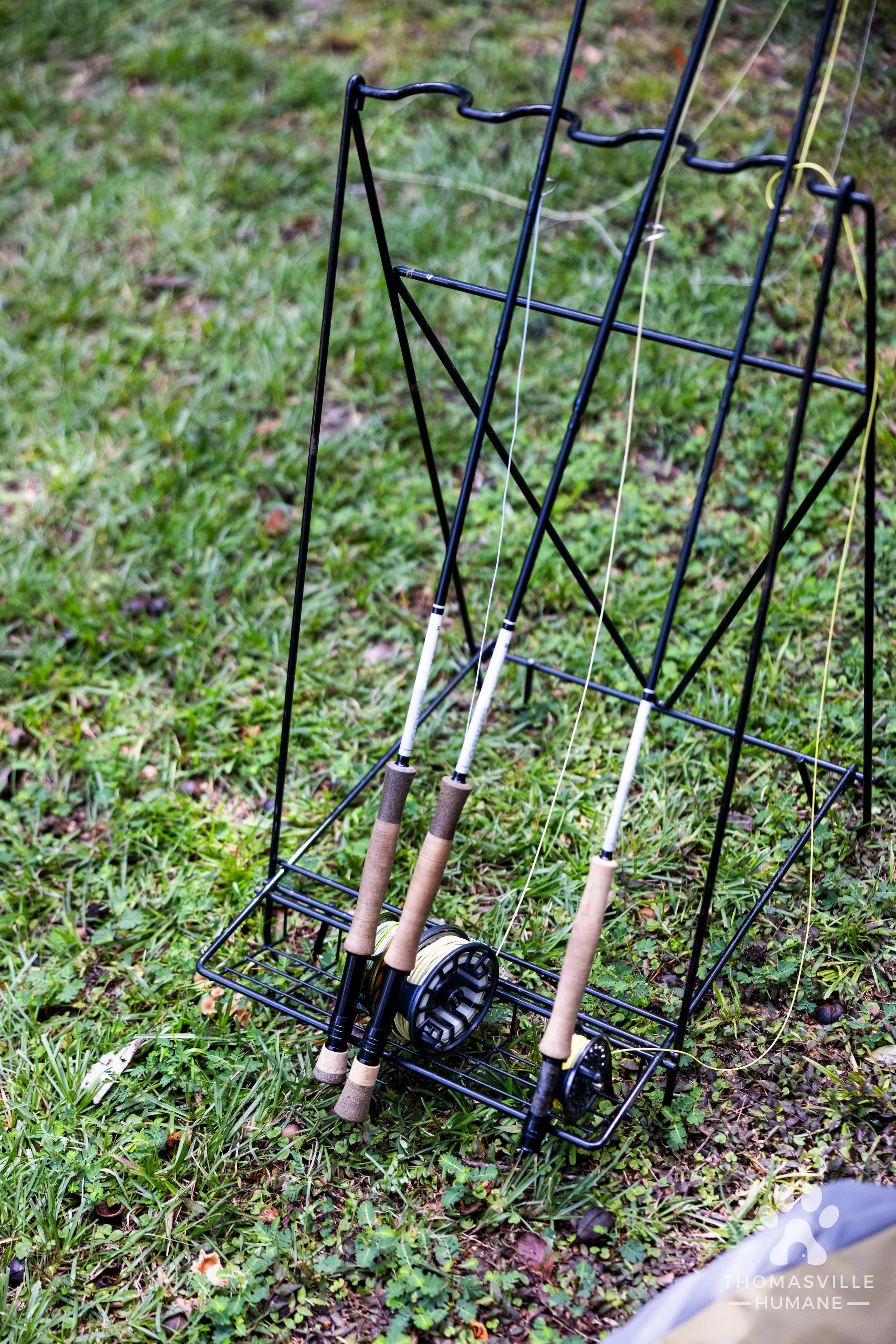 AR9A0417.jpg