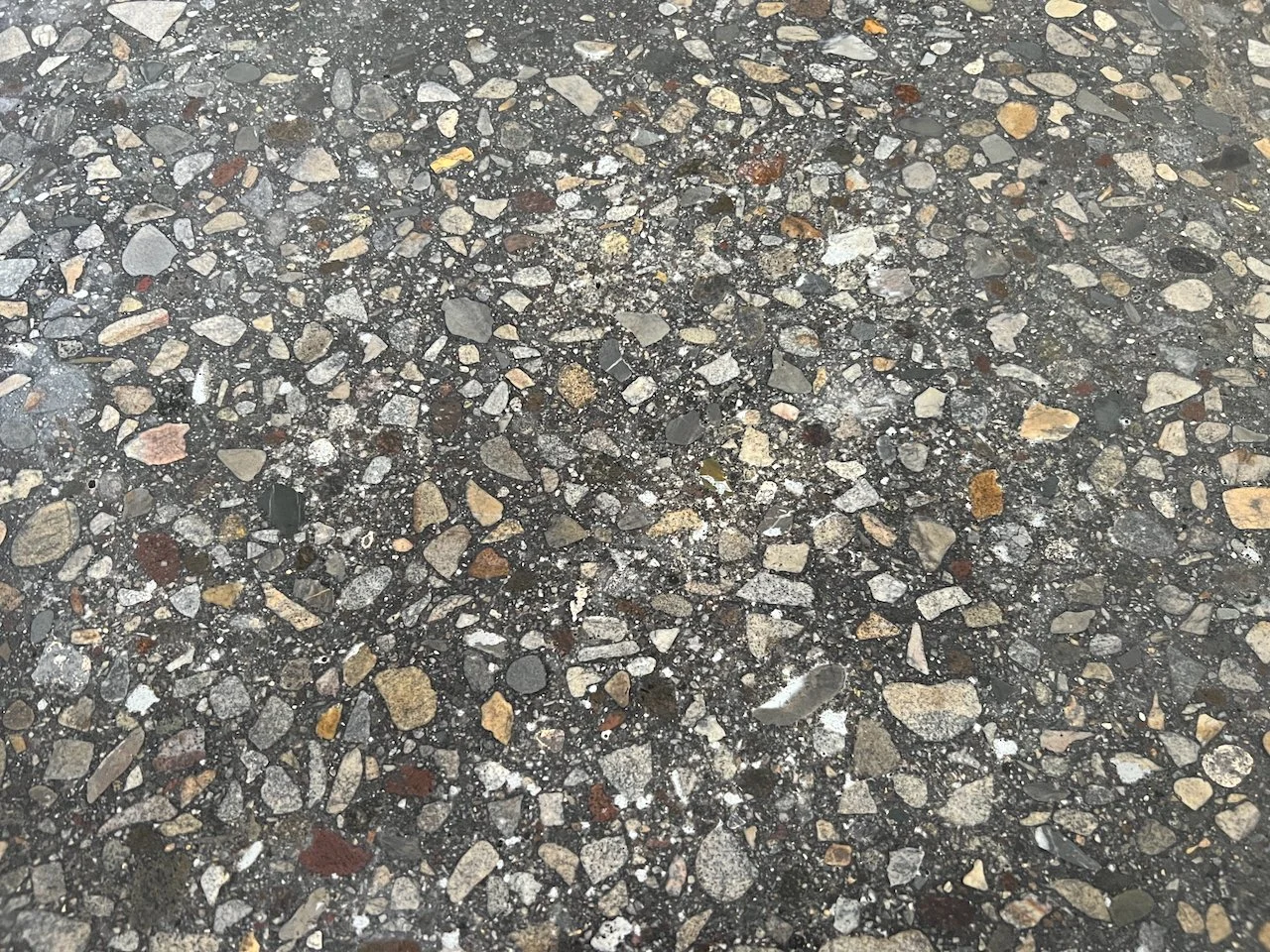 IMG_2243.jpeg