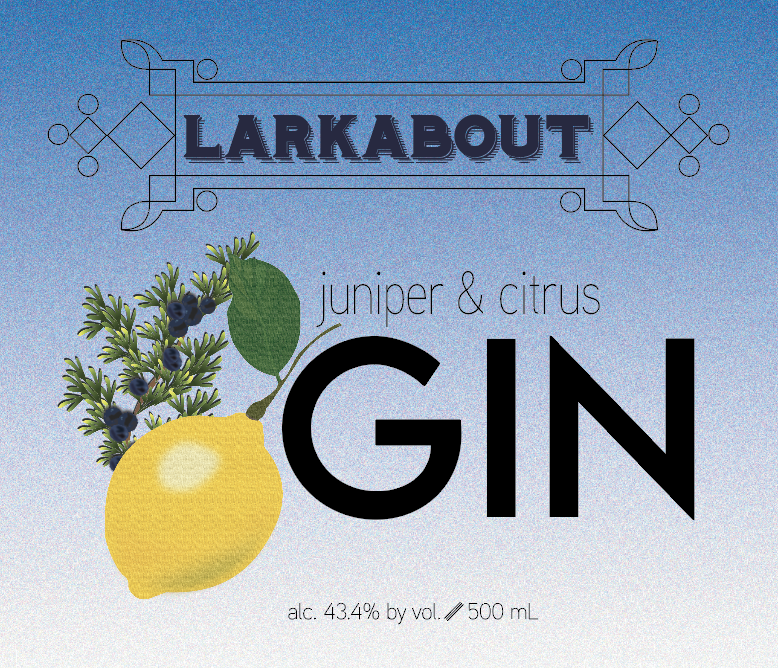 Screenshot 2024-07-16 at 9.00.14 PM.png