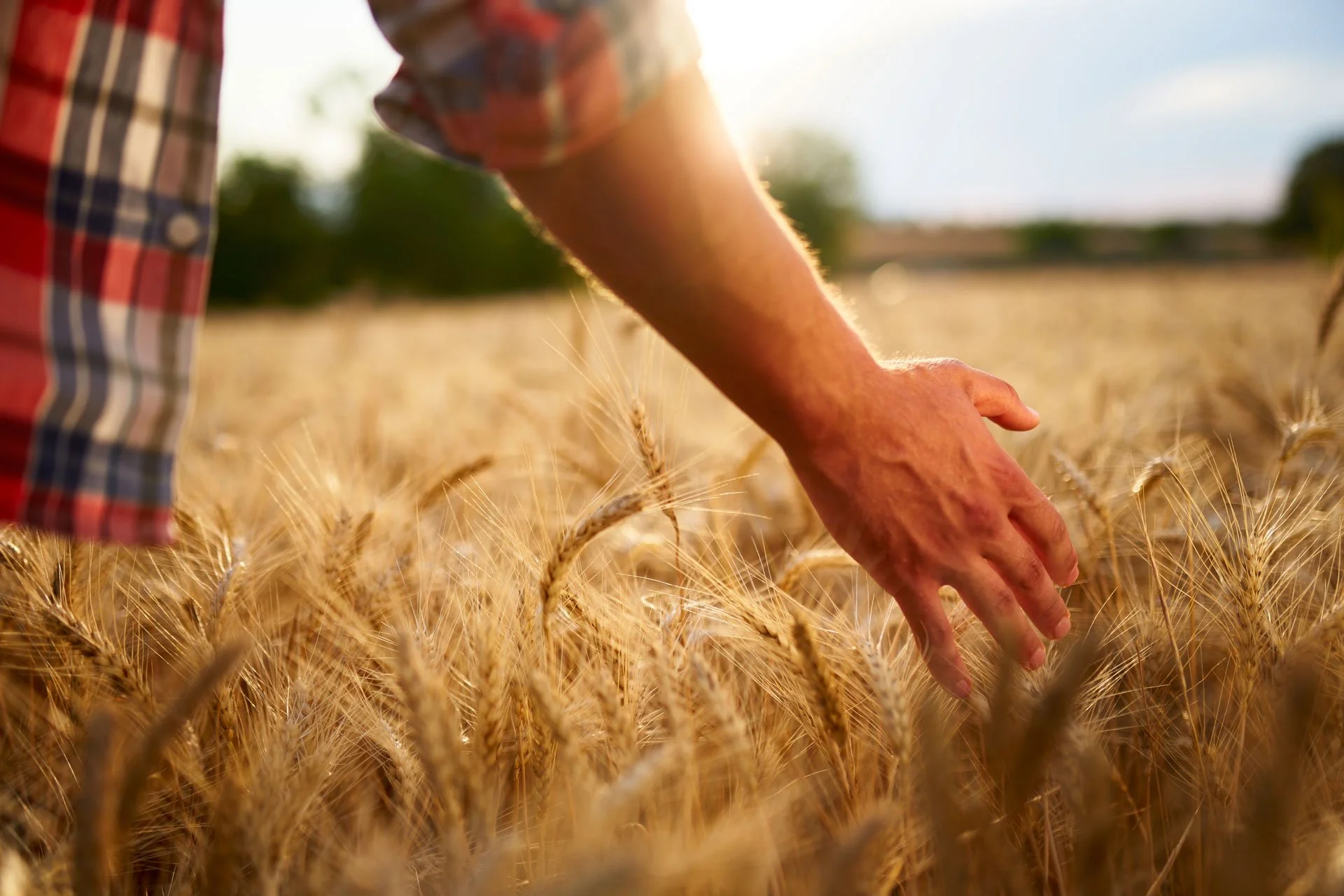 Ethical Investing