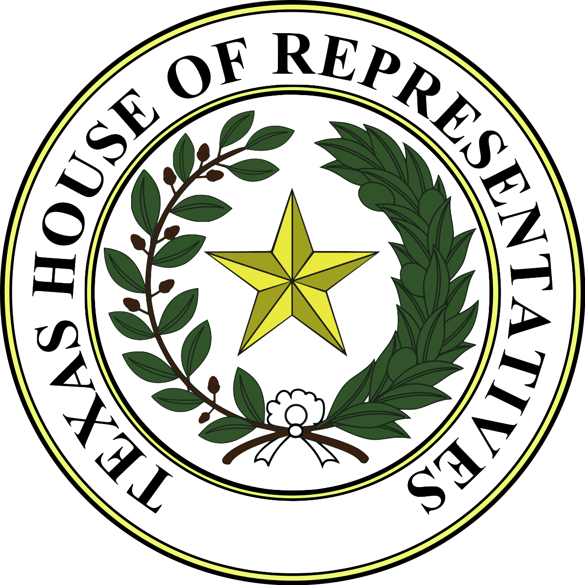 Texas House Transportation Committee Hearing