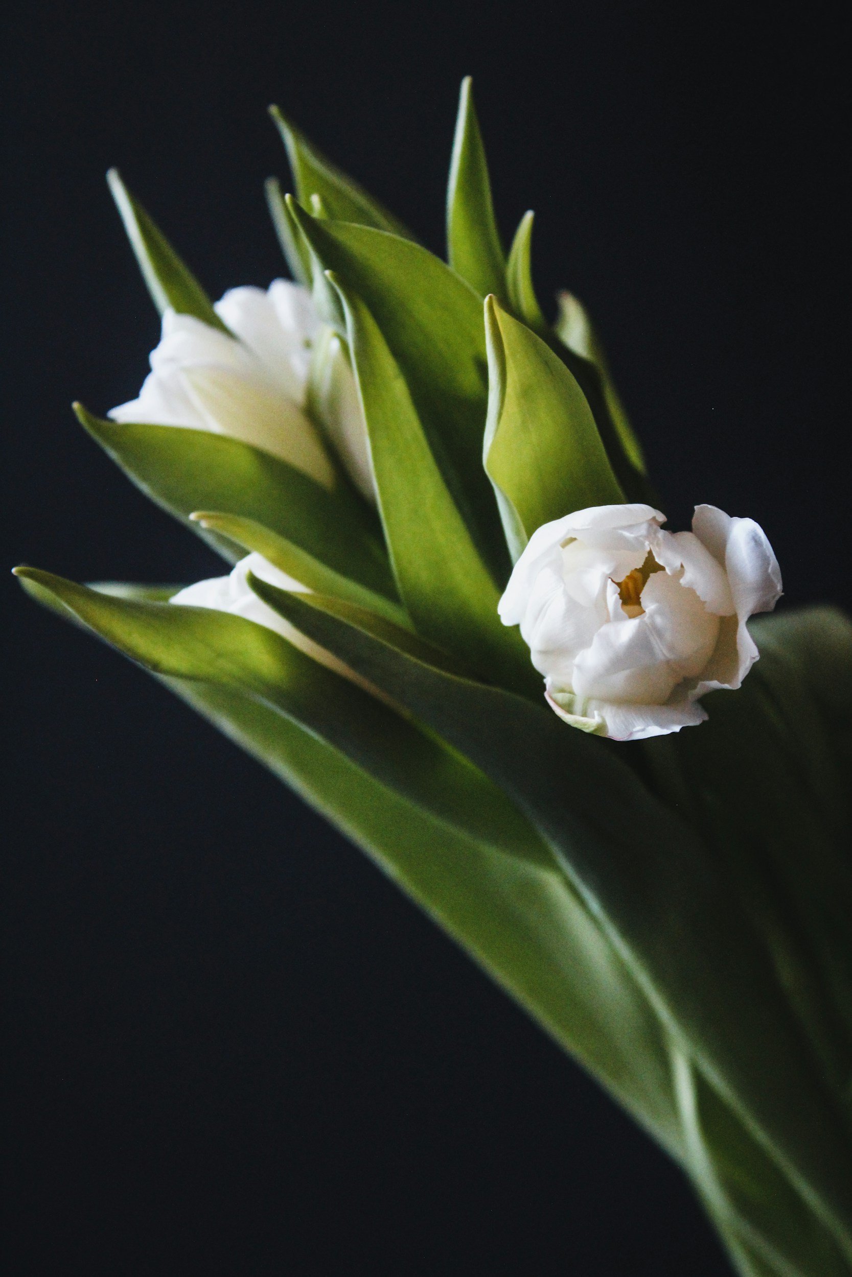Wrapped Spring Flower Bouquet