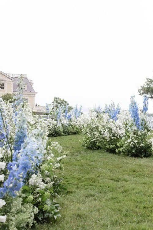 aisle meadow tahoe blue.jpg