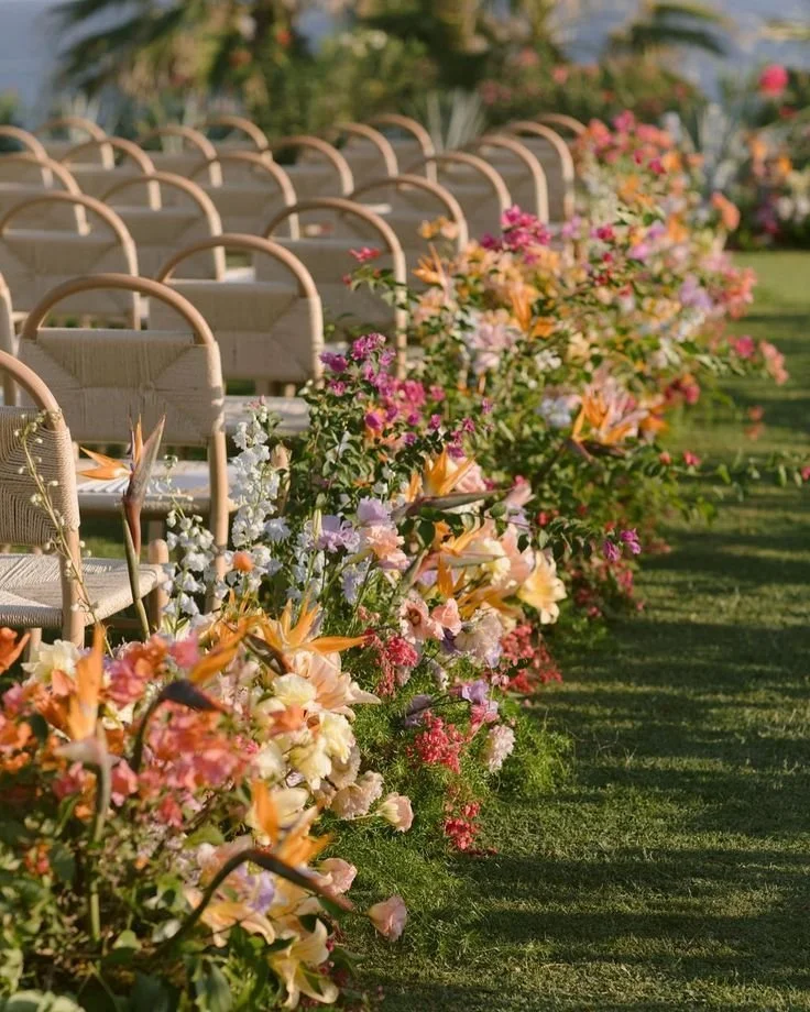 aisle meadow trpical.jpg