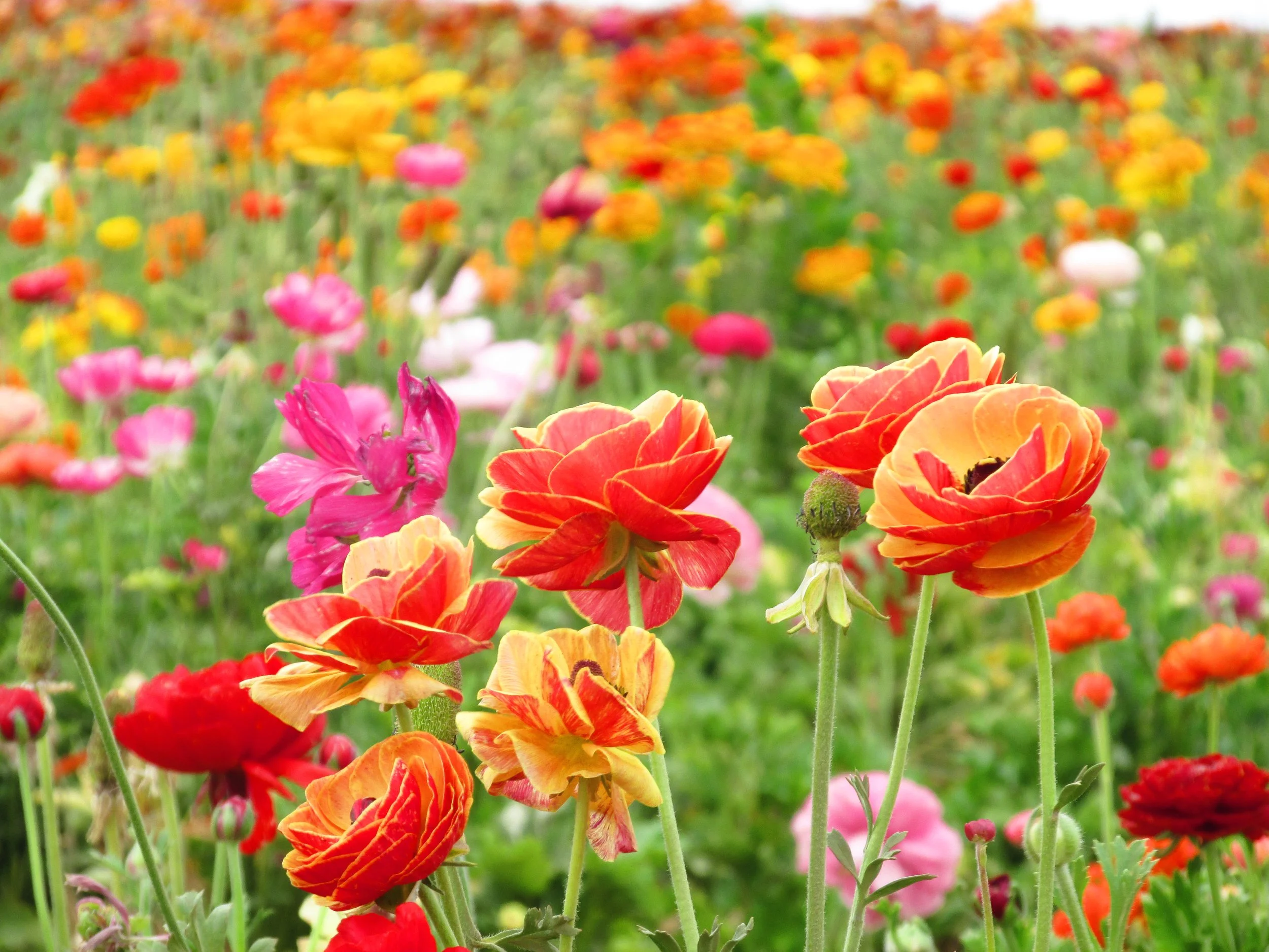 What Stirs the Heart