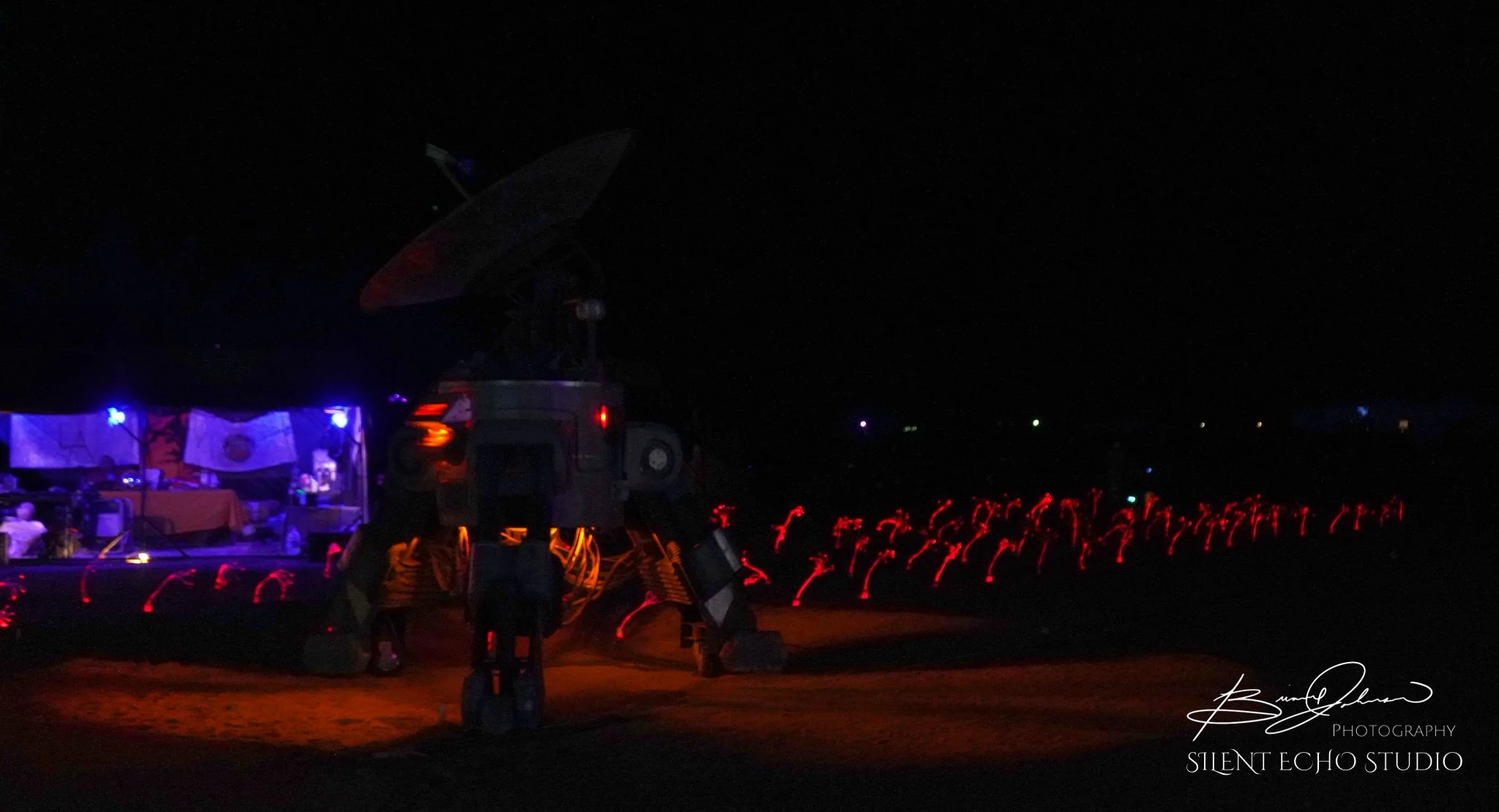 DSC04717.jpg
