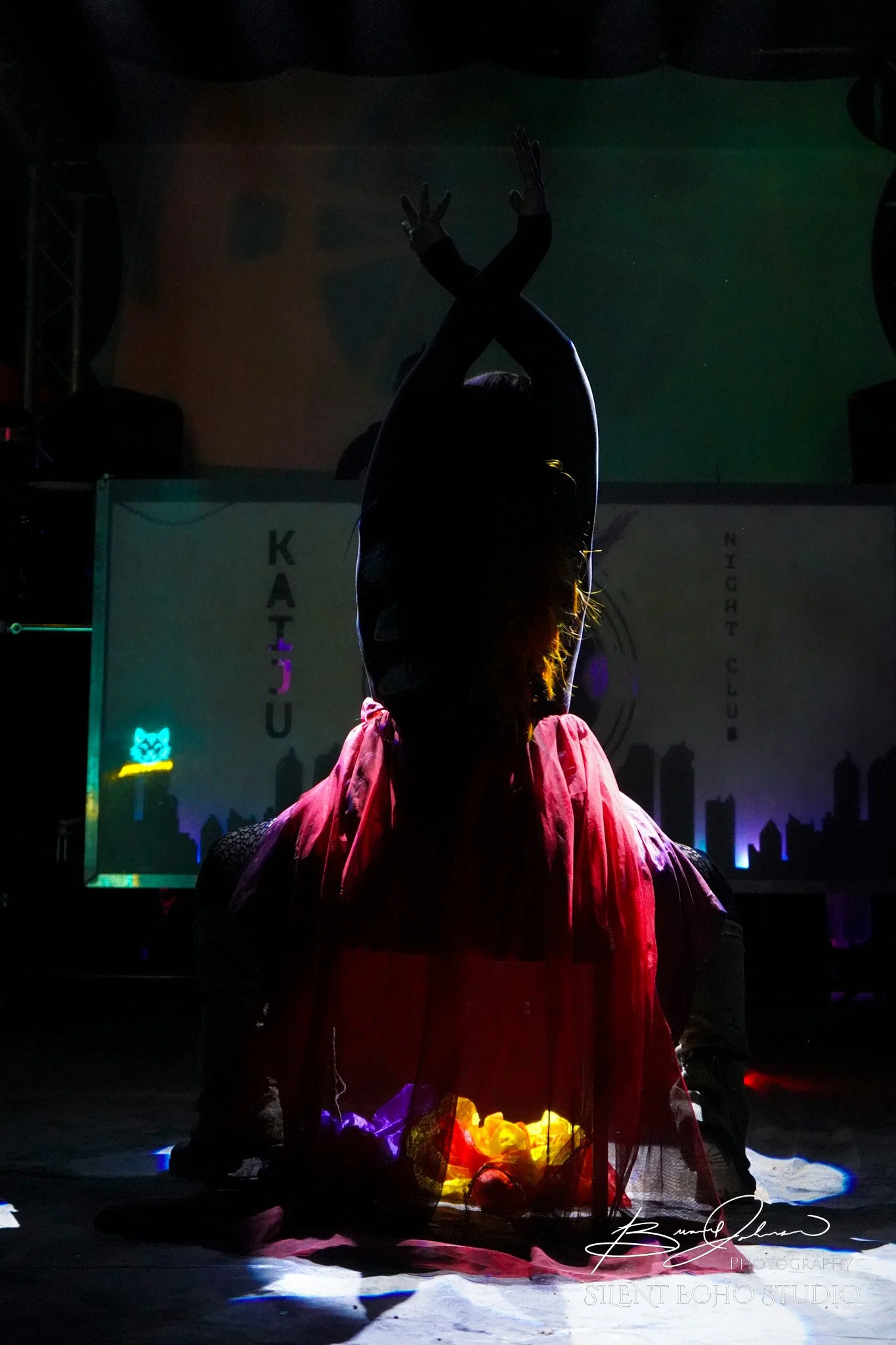 DSC09497.jpg