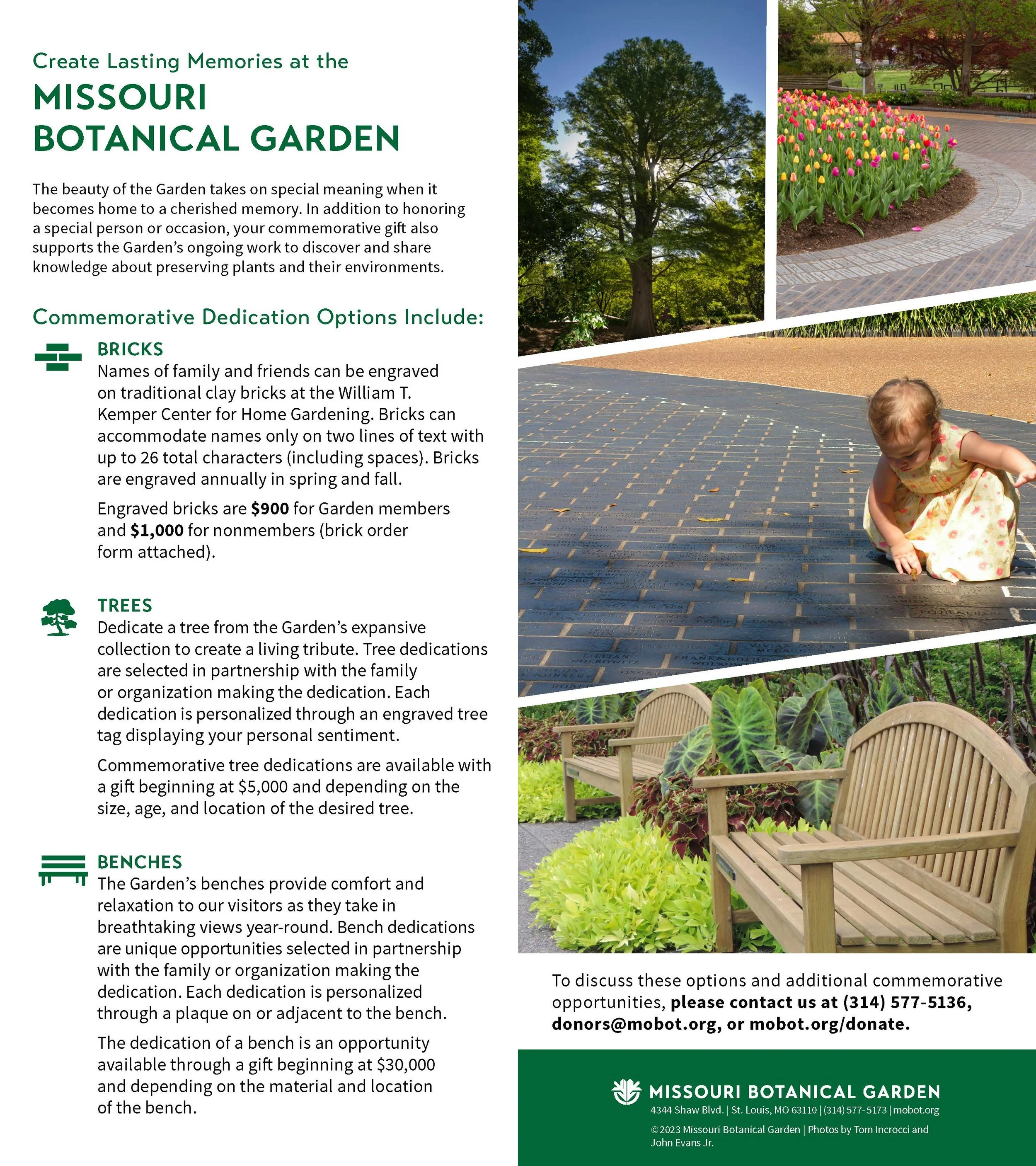 MBG Brochure_23_Page_2.jpg