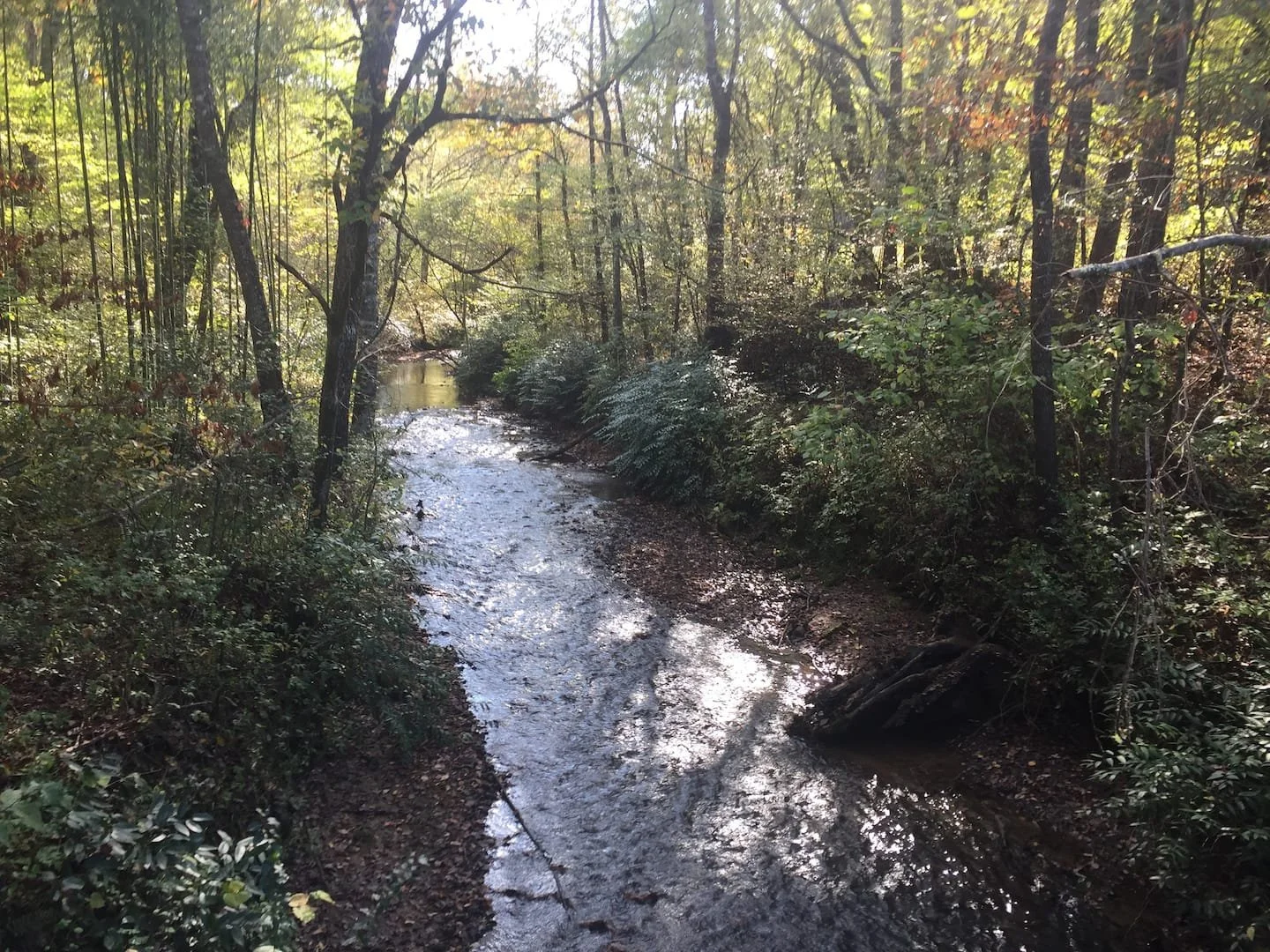 Creek.jpeg