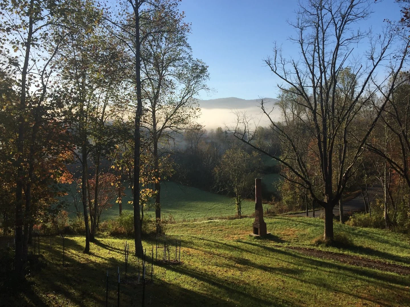 Gum log Mountain.jpeg