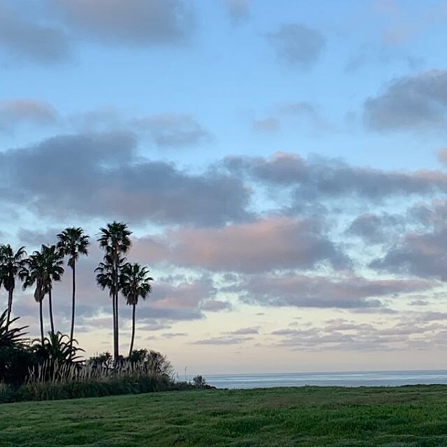 Rise and Shine!  Keeping a positive outlook in these uncertain times is my only choice. -
-
-
-
-
-
#palosverdes #palosverdesestates #sunrise #lunadabay #lunadabaylife #positivevibes #positiveenergy #positiveattitude #newday #gratefulheart #lovewhere