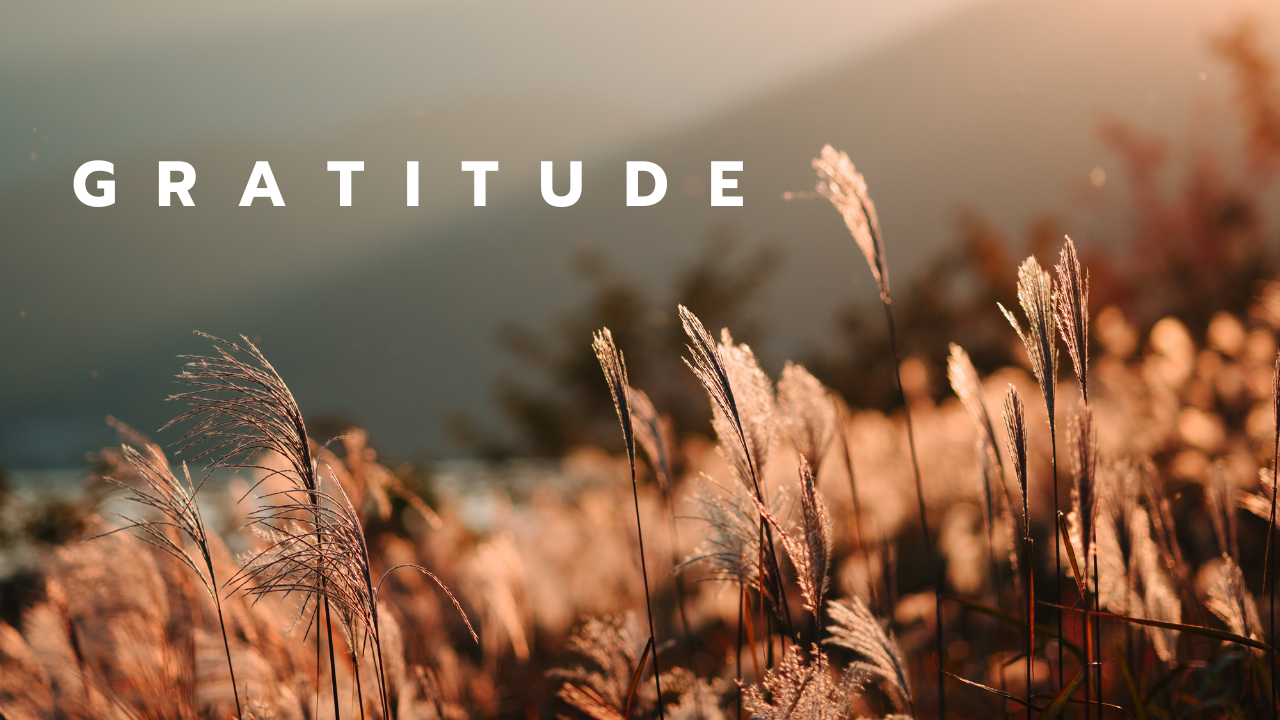 Gratitude 