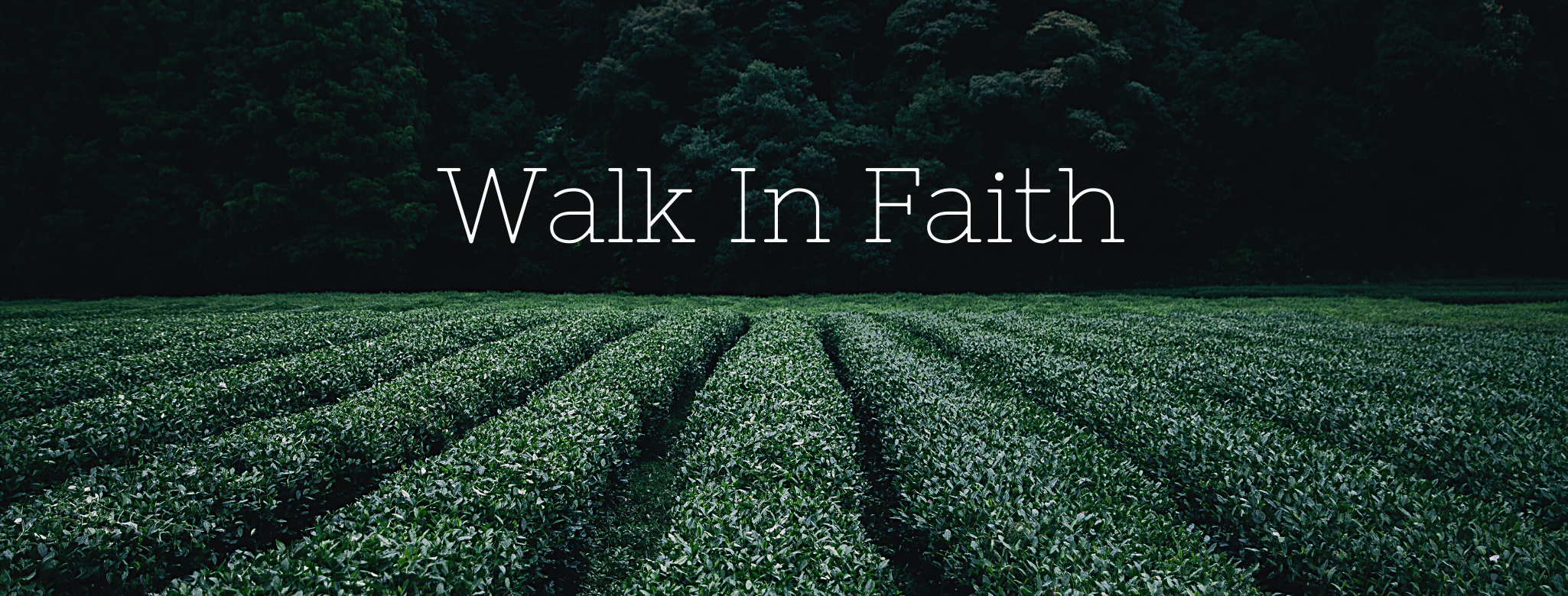 Walk In Faith 