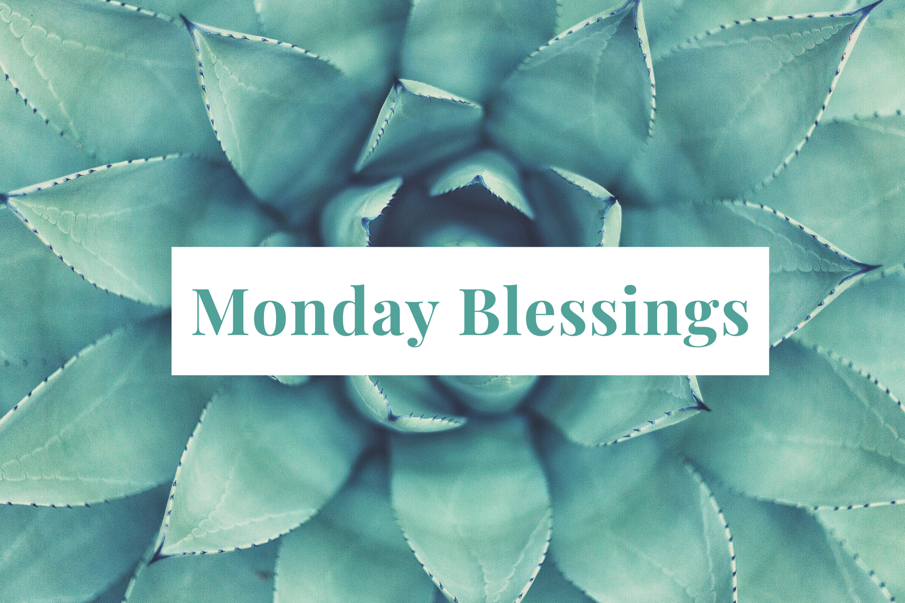 Monday Blessings 