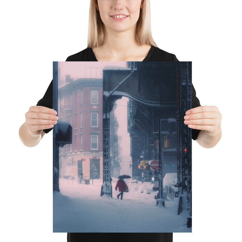 enhanced-matte-paper-poster-(in)-16x20-person-60909aeb4147c.jpg
