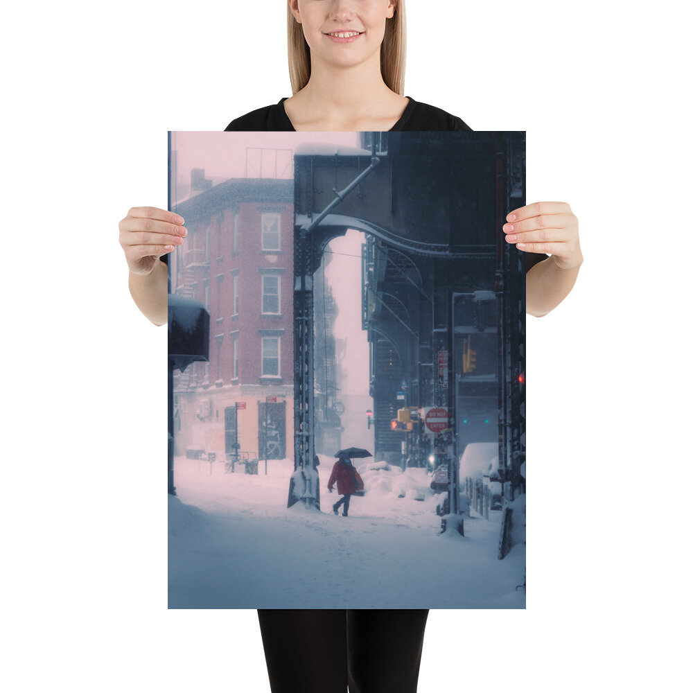 enhanced-matte-paper-poster-(in)-18x24-person-60909aeb414f2.jpg