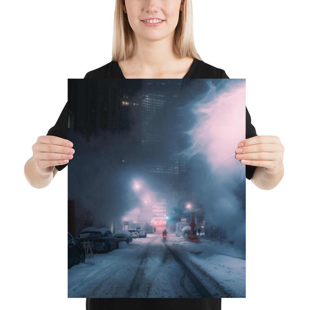enhanced-matte-paper-poster-(in)-16x20-person-60909f4a07954.jpg