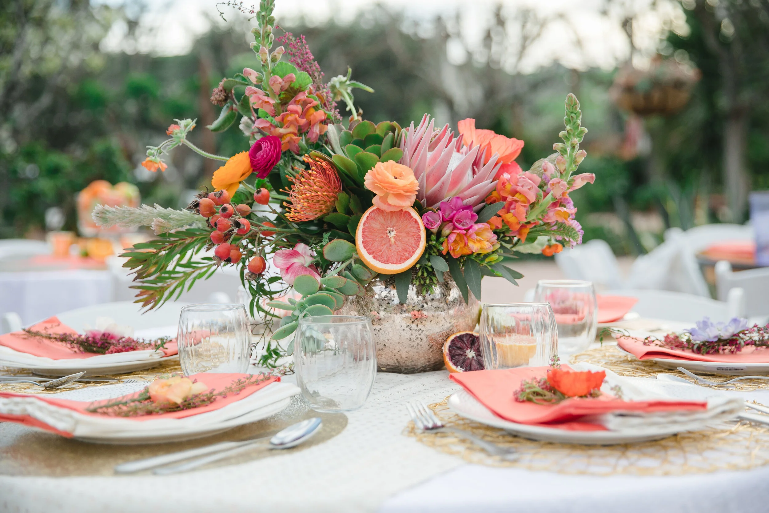 Lindsay Ferraris Photography