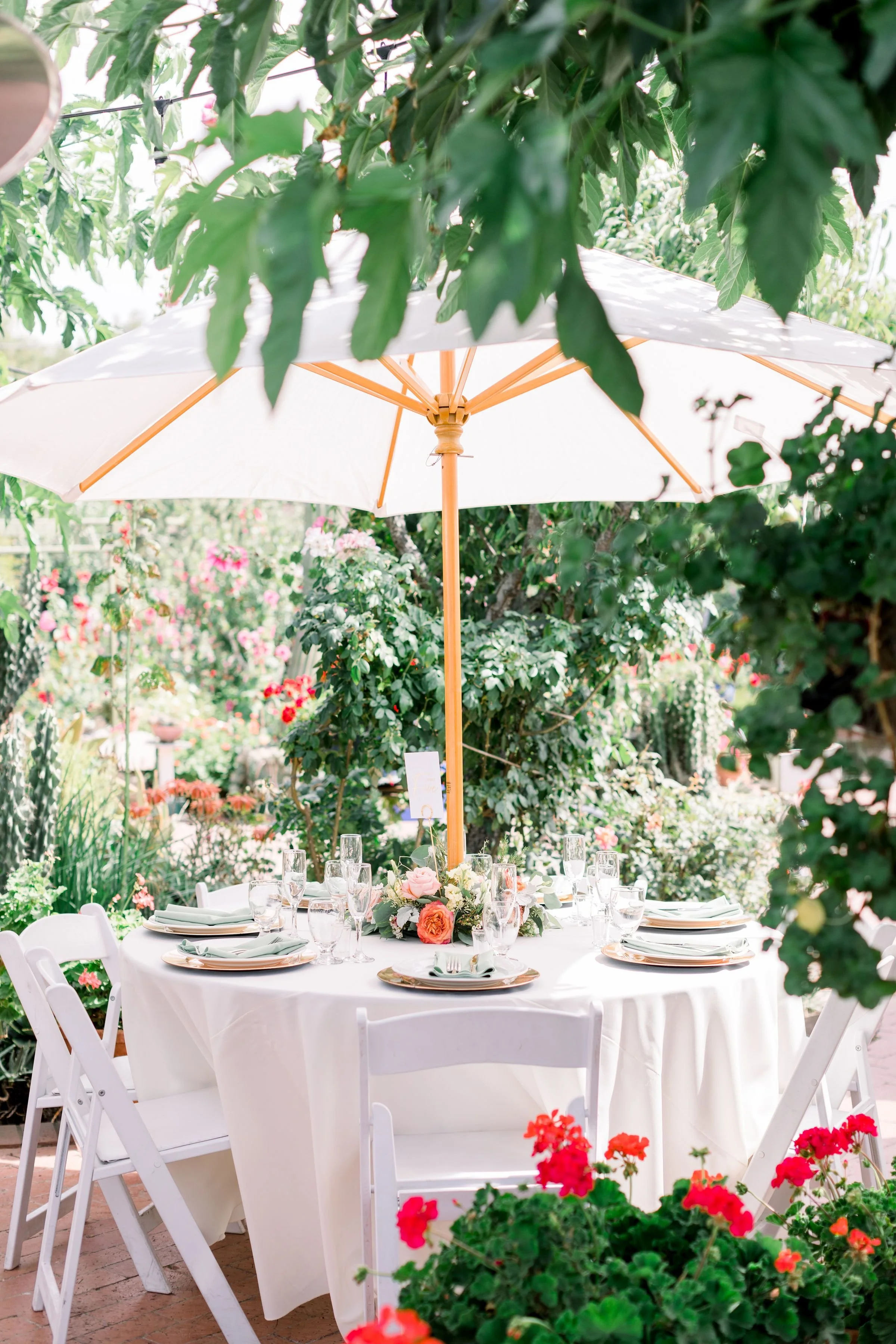 Dirt, Pearls, and Curls Photography