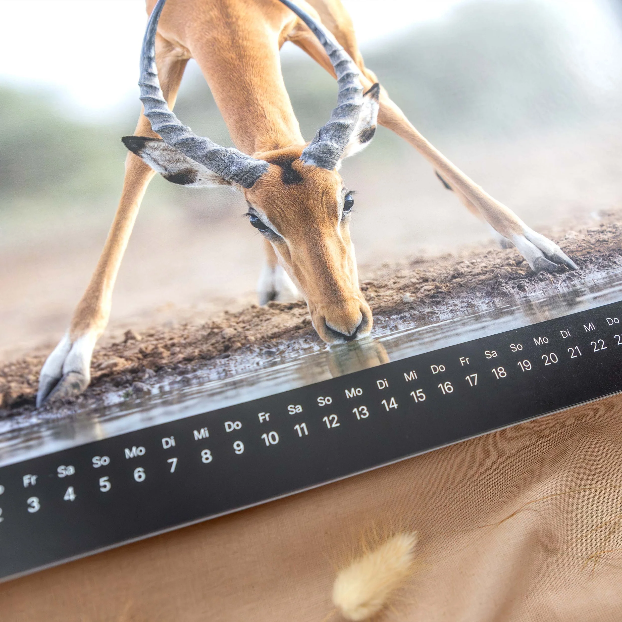 product-image-calendar-2027-02.jpg