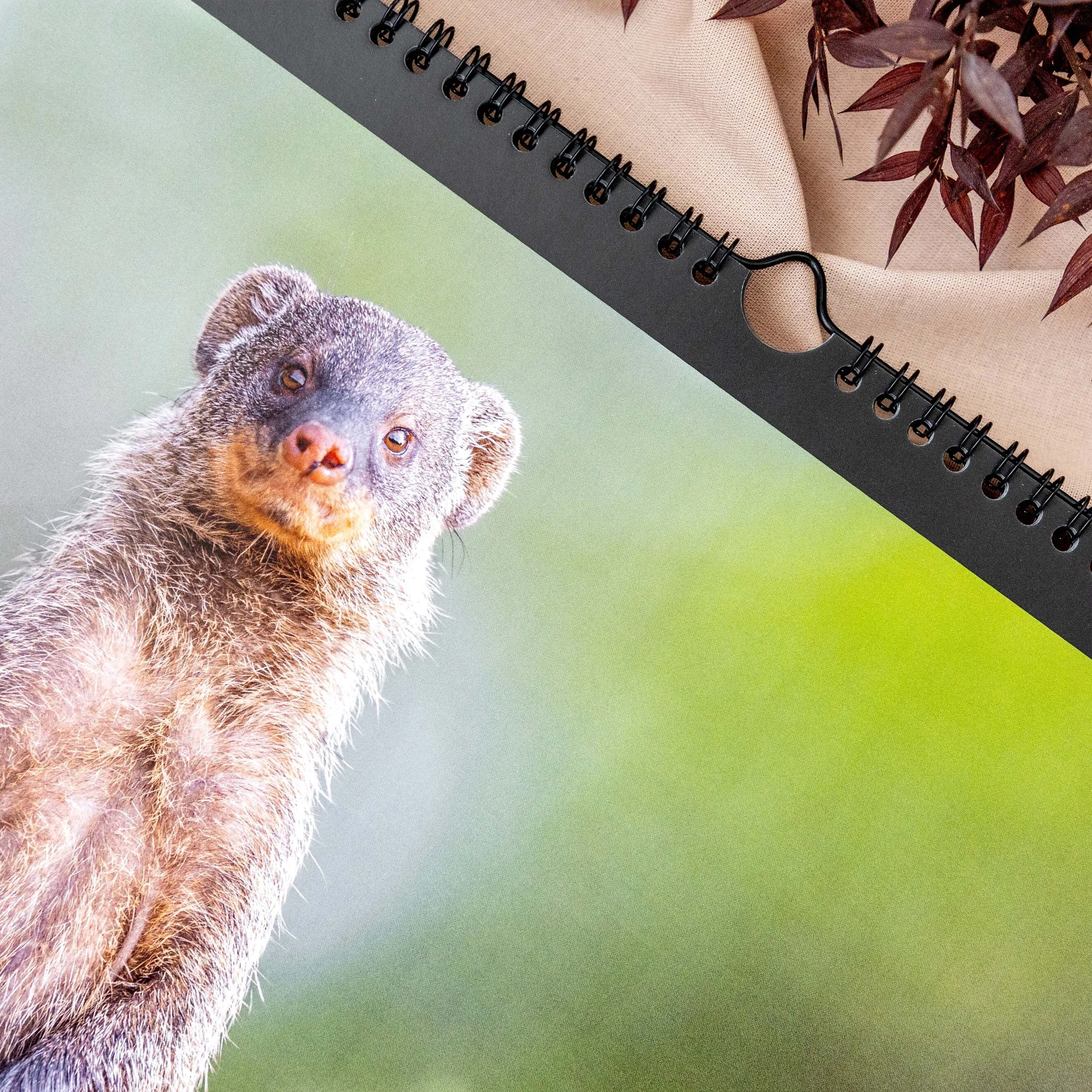 product-image-calendar-2027-05.jpg
