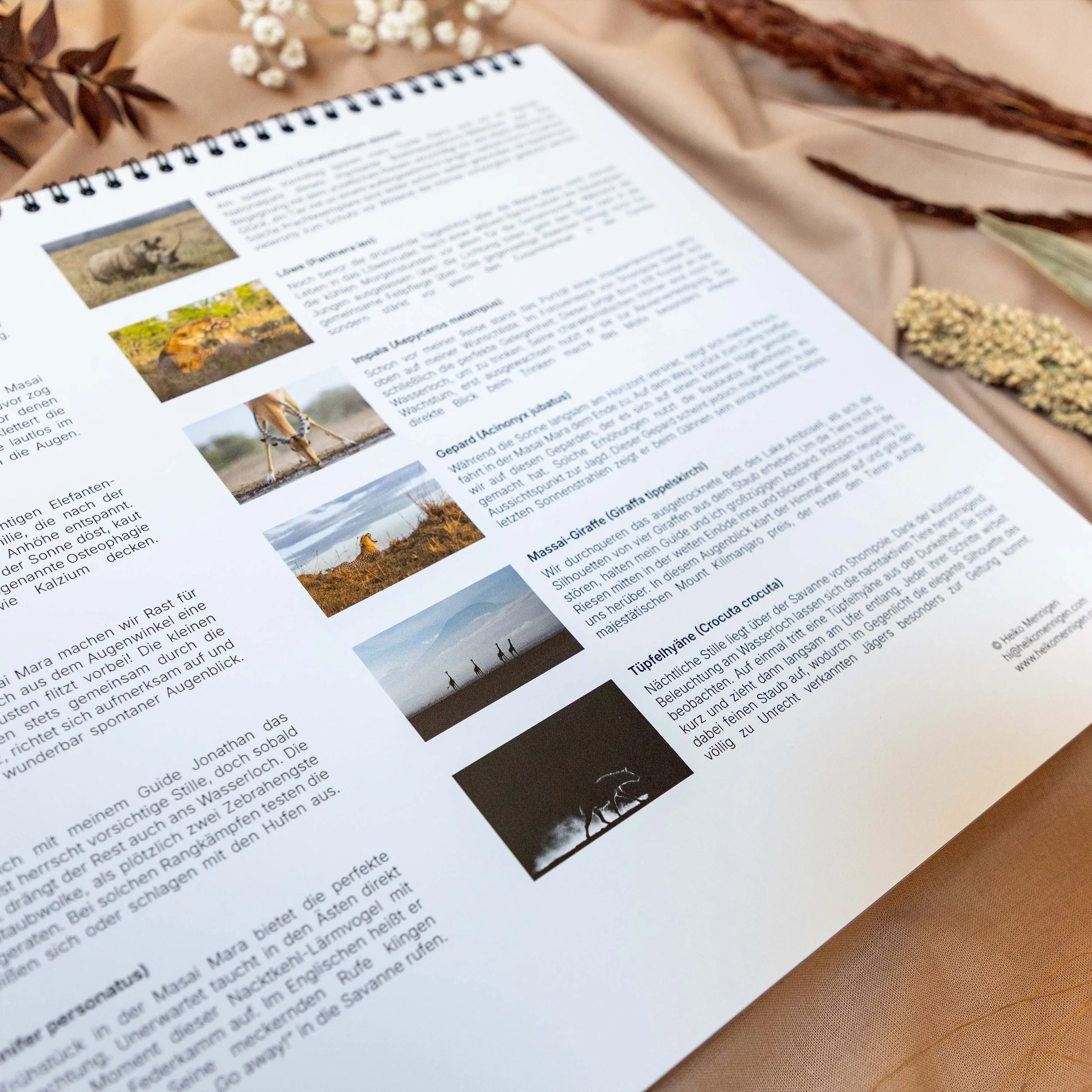 product-image-calendar-2027-06.jpg
