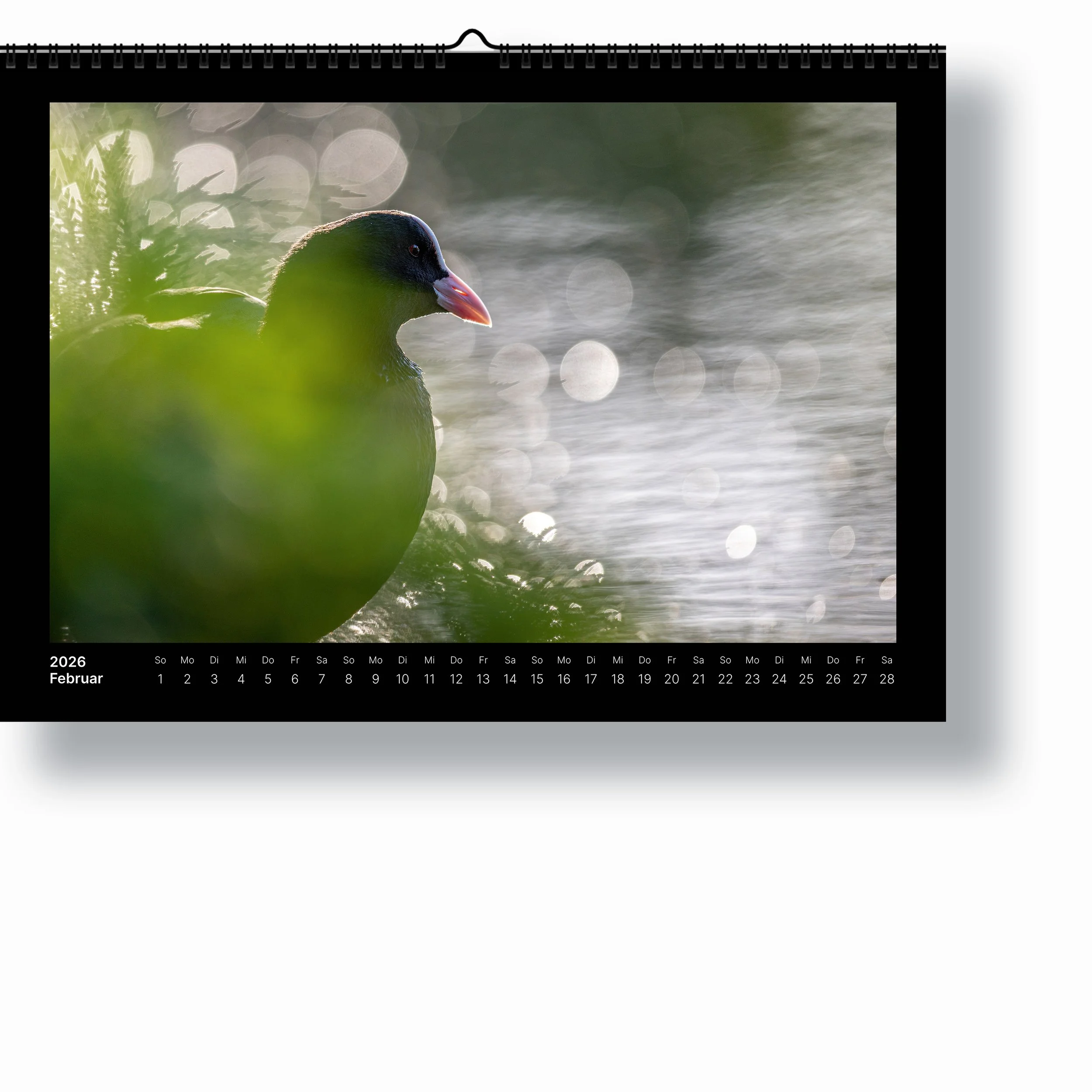 product-image-calendar-2026-02.jpg