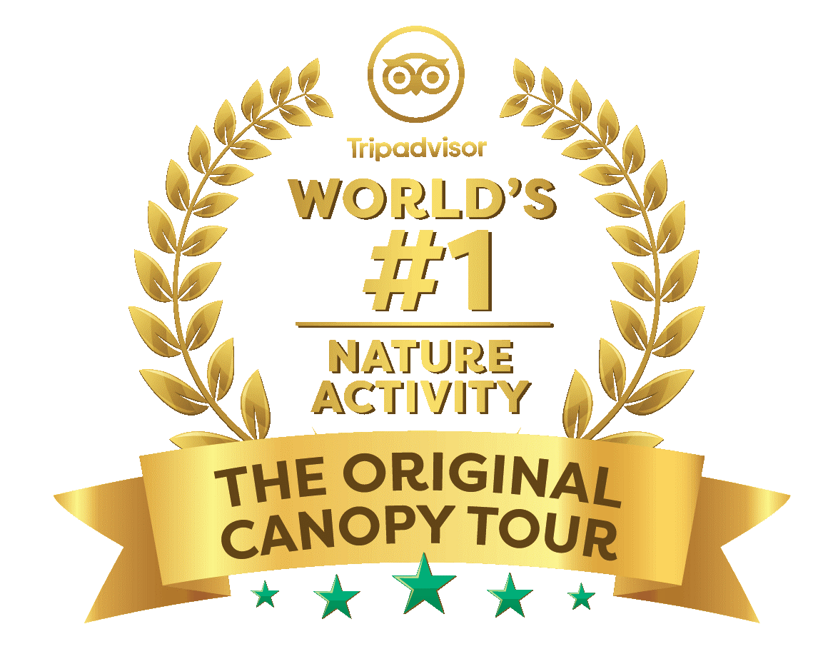 Original Canopy Tour best in the world.png